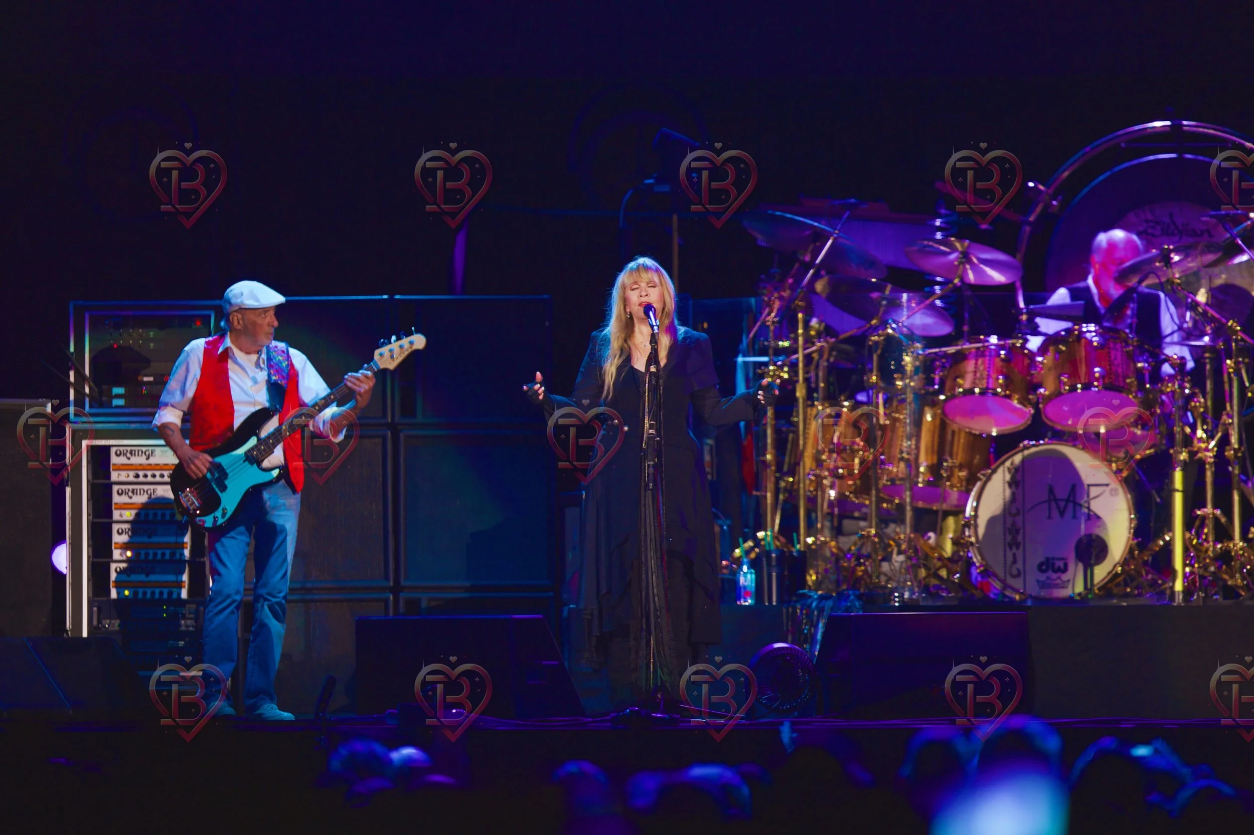 Stevie Knicks and Fleetwood Mac 4.JPG