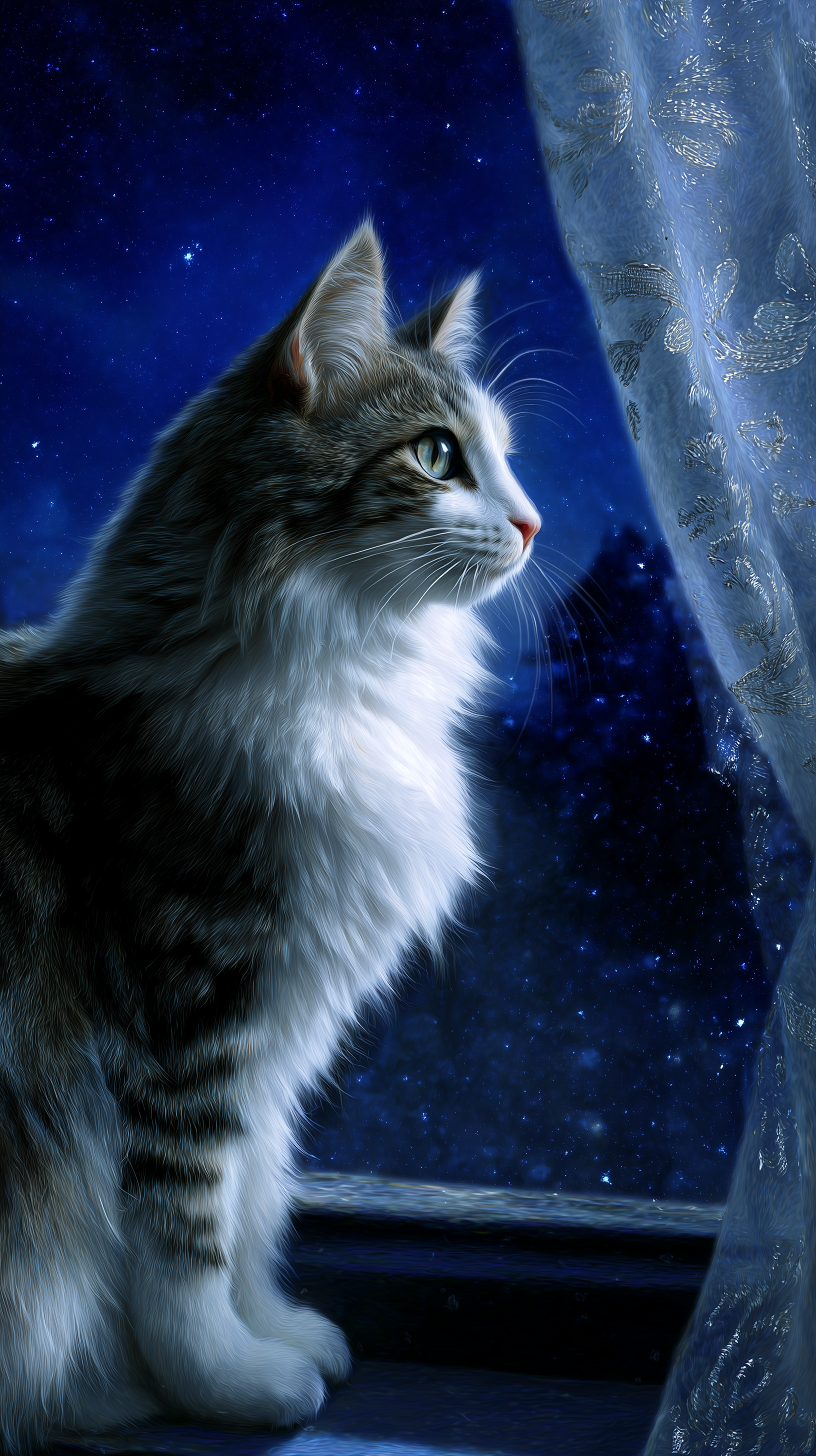 CAT 1.png