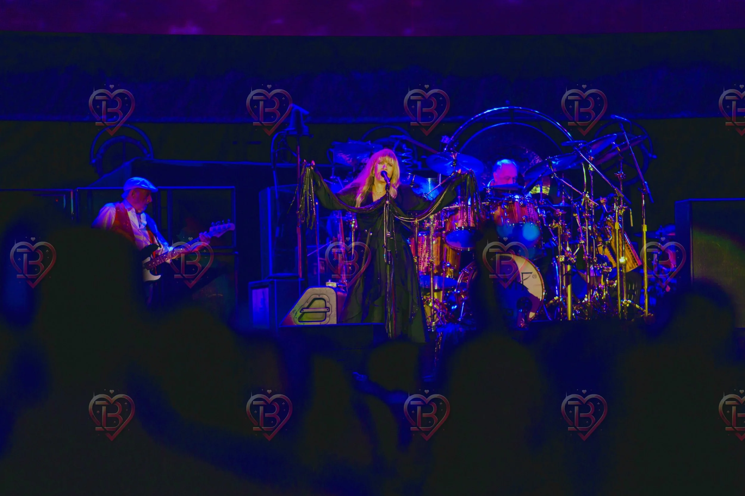 Stevie Knicks and Fleetwood Mac 3.JPG