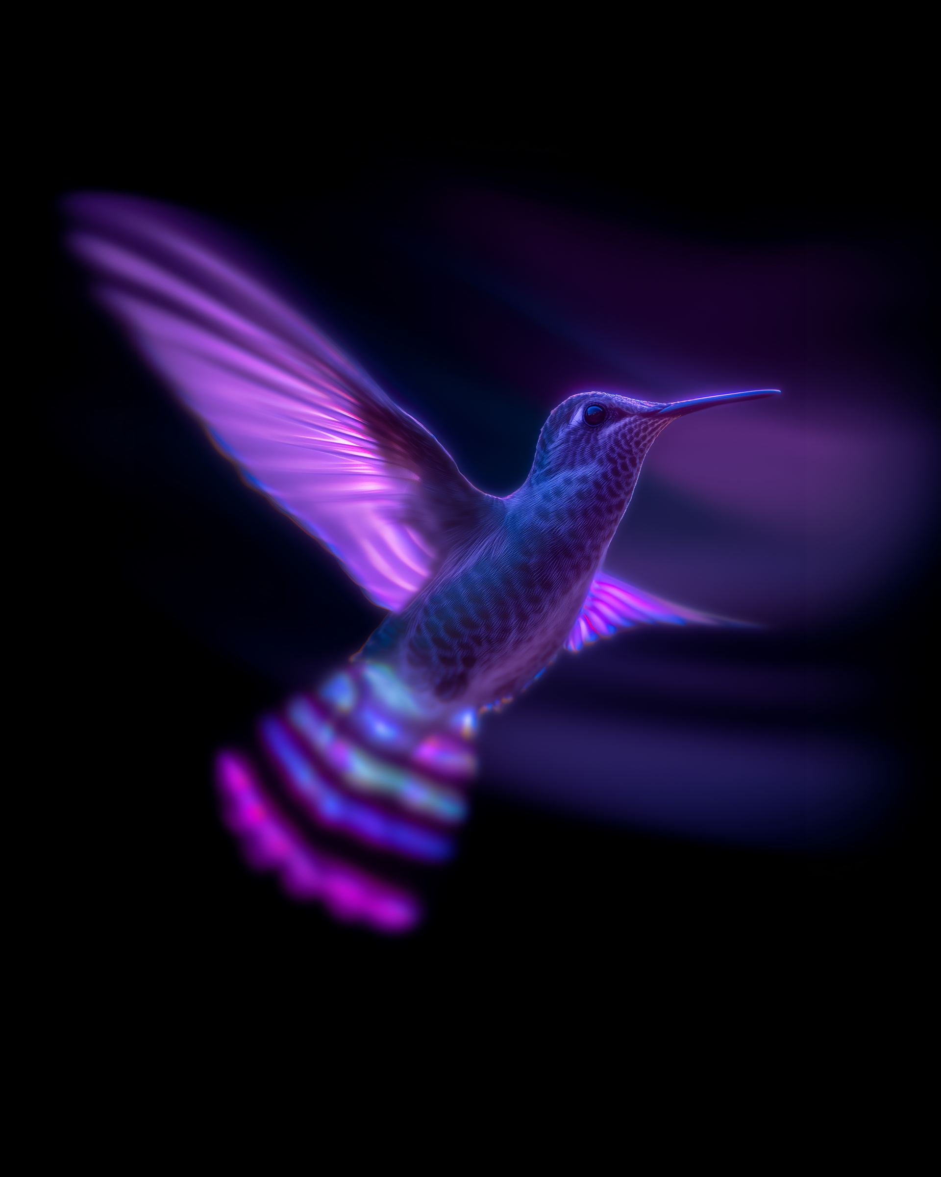 HUMMINGBIRD 1.png