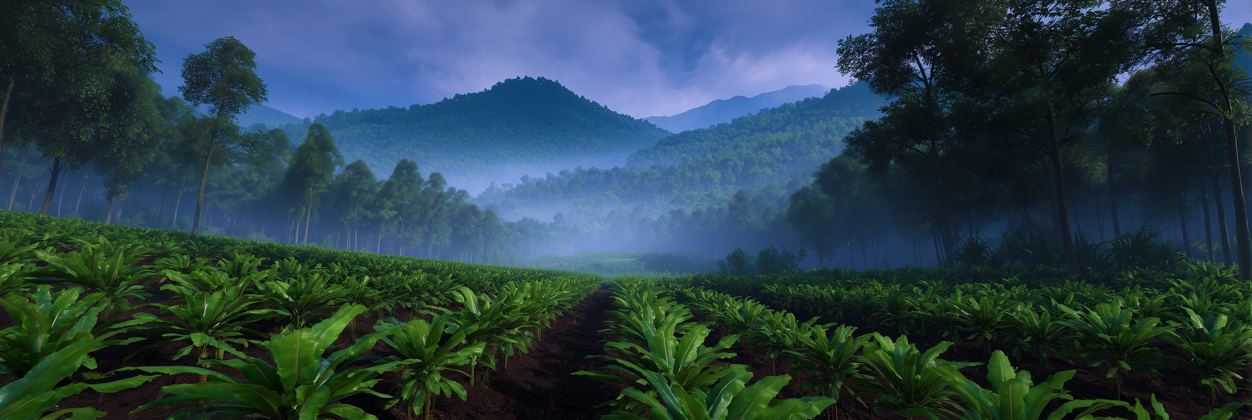 BANNER 1.png