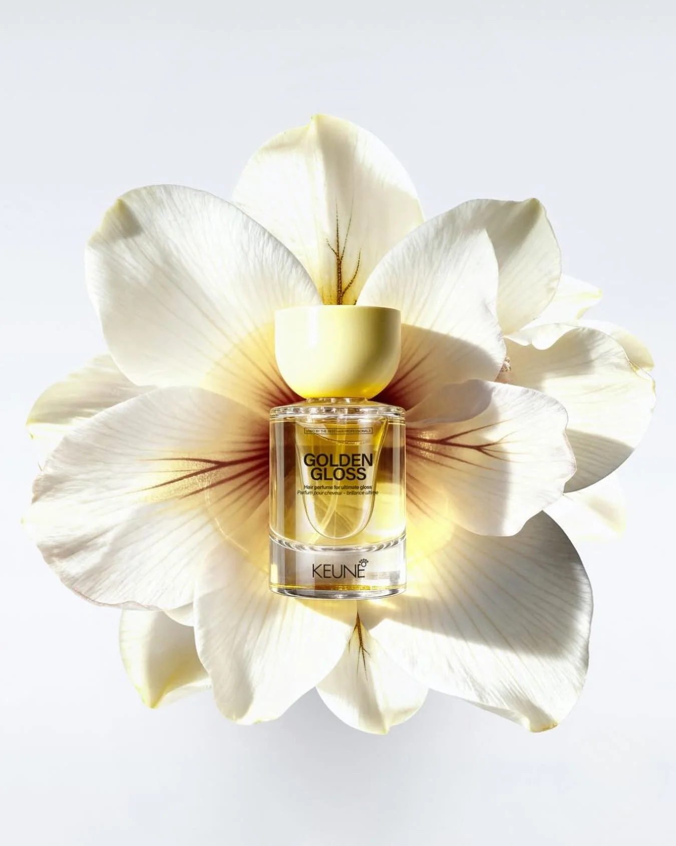 Moederdagcadeau! 💌 Win dit luxe haarparfum voor een moeder die het extra verdient om te stralen! 👑🌼

Je moeder dit jaar extra verwennen? Geef haar deze luxe two-phased haarparfum cadeau. Een heerlijke, elegante geur die ook nog eens de puntjes ver