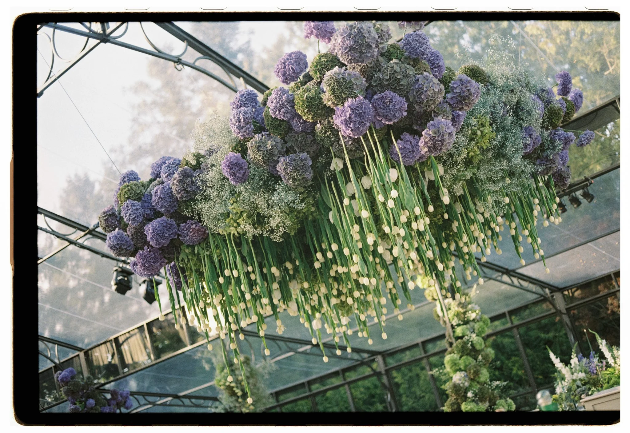 analog-wedding-photographer11584510.jpg