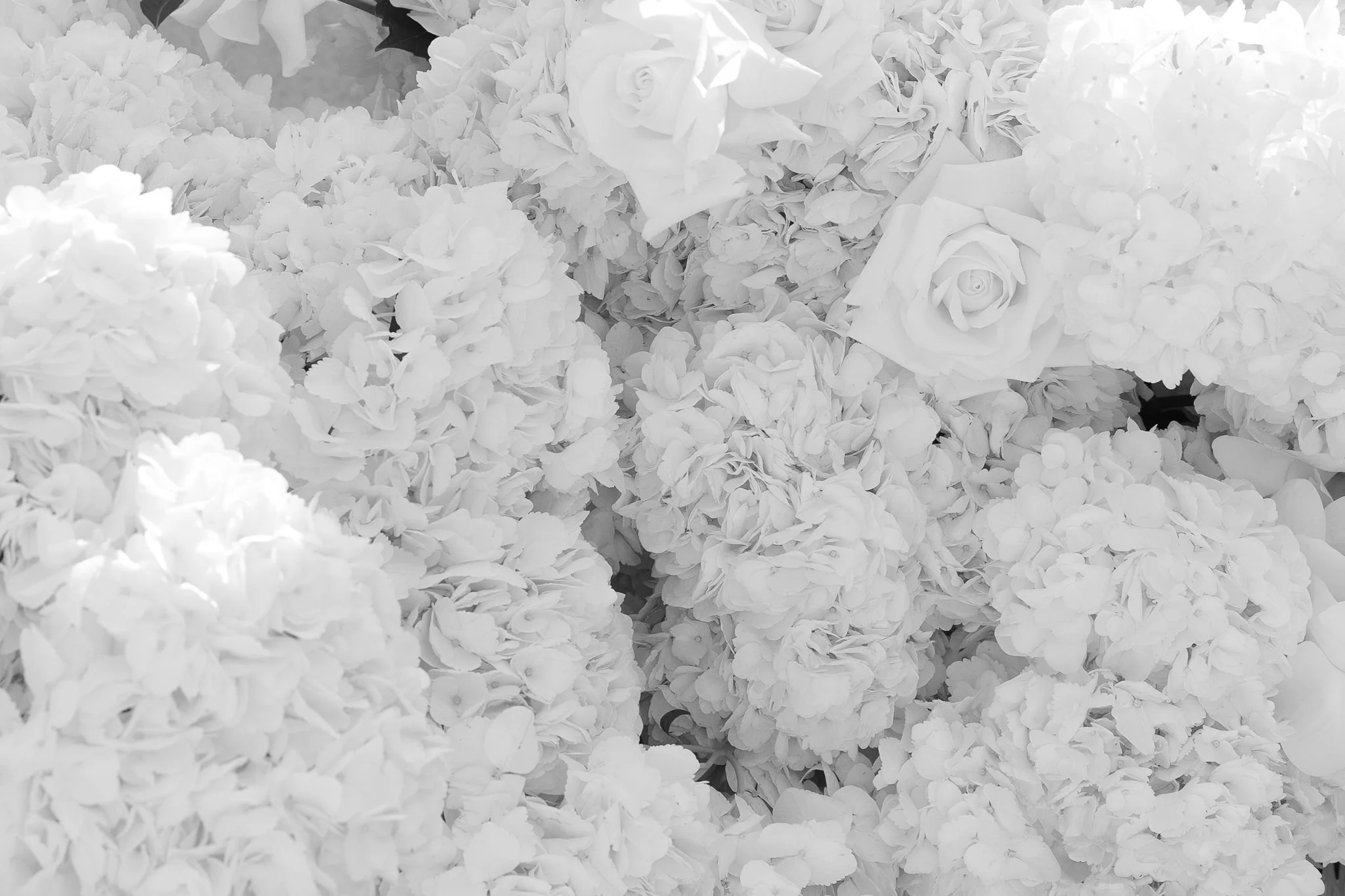 Cal-Reiet-Mallorca-Wedding20250618153527.jpg