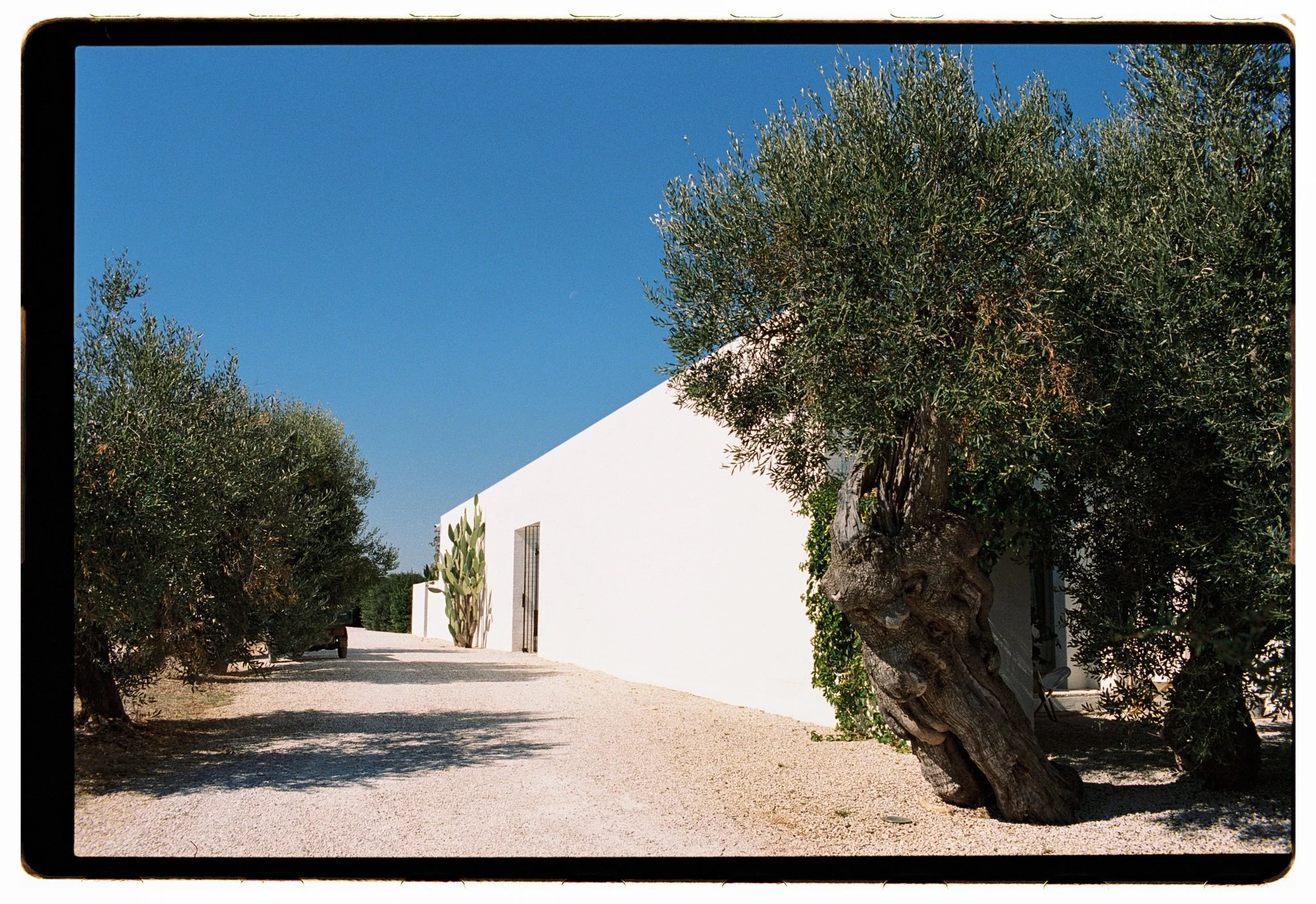 masseria-moroseta-wedding50264315.jpg