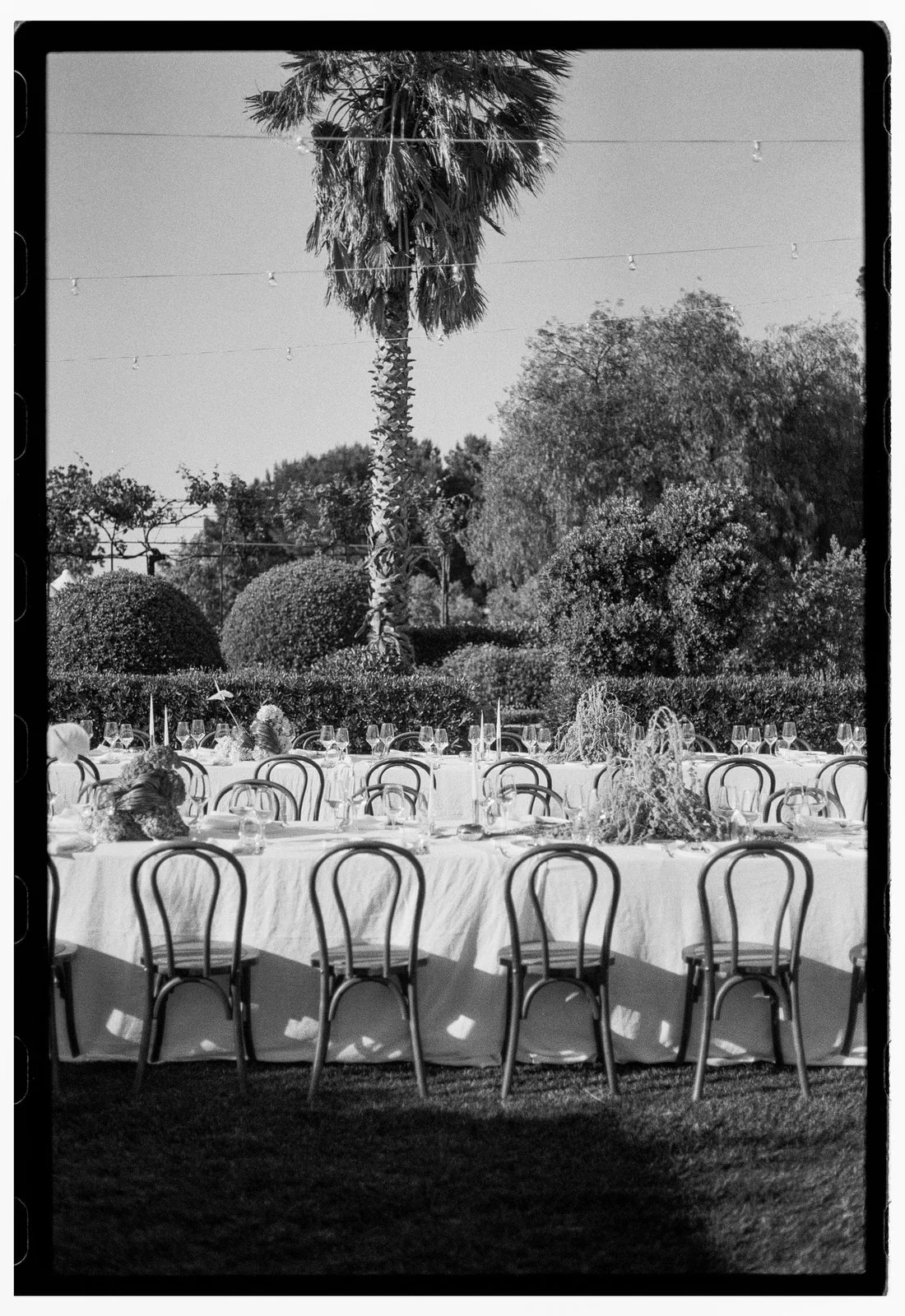 Mariella_and_Sammy_Wedding_0291.jpg