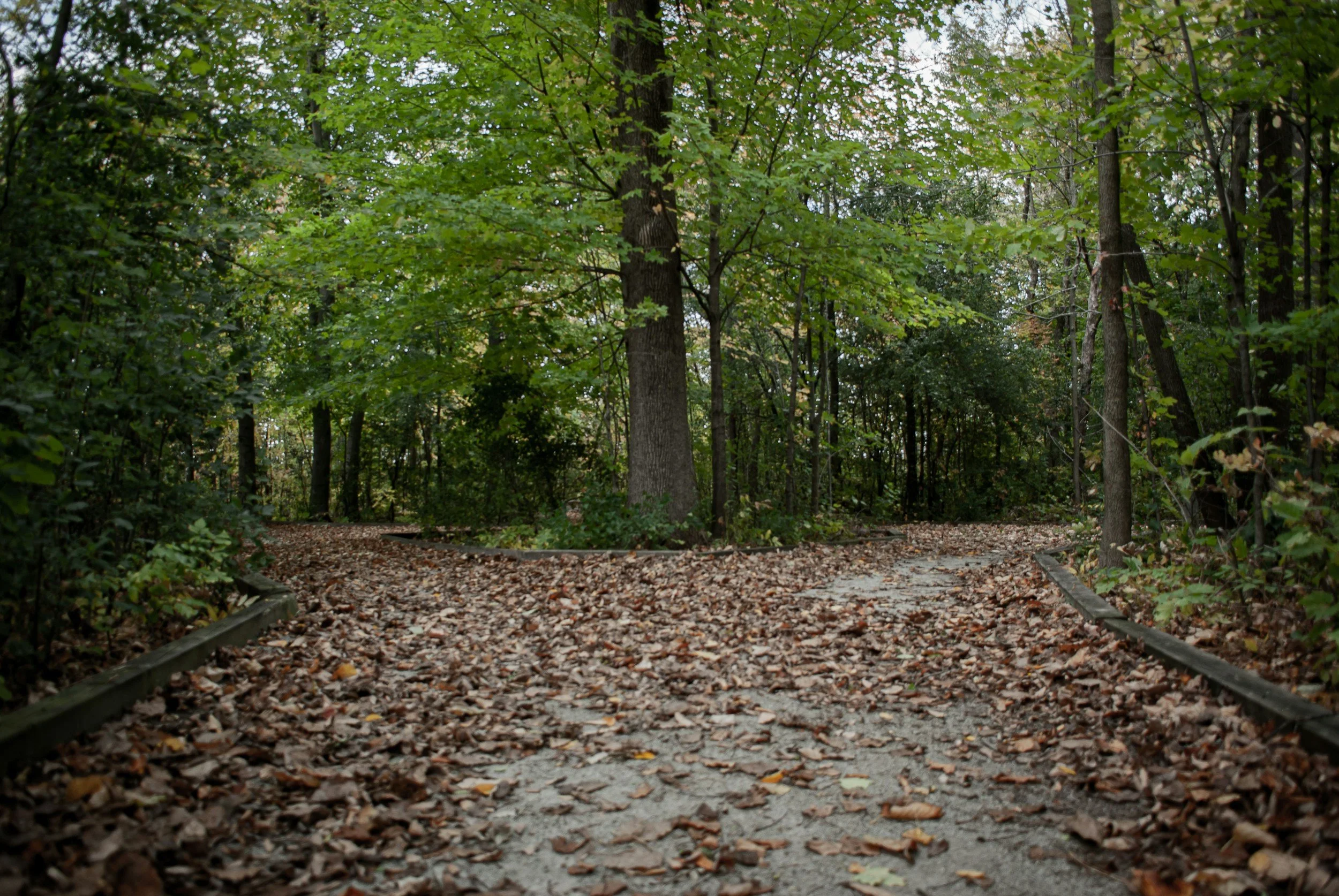 Split path around an obstacle