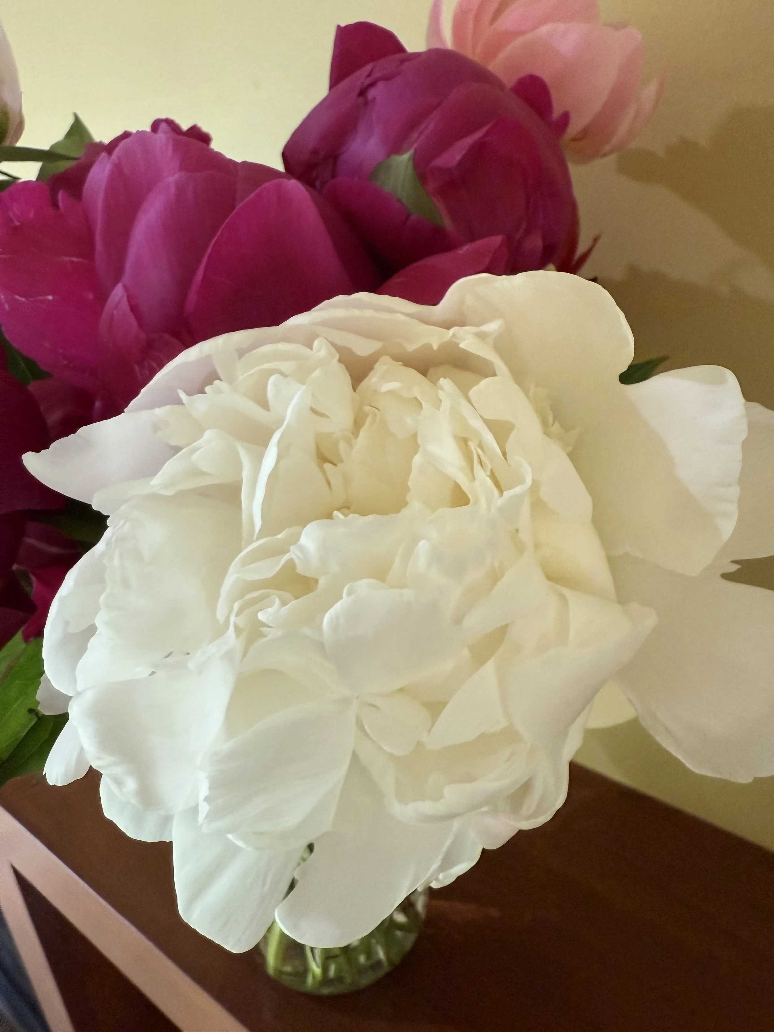 2026 May Peony Flower Share