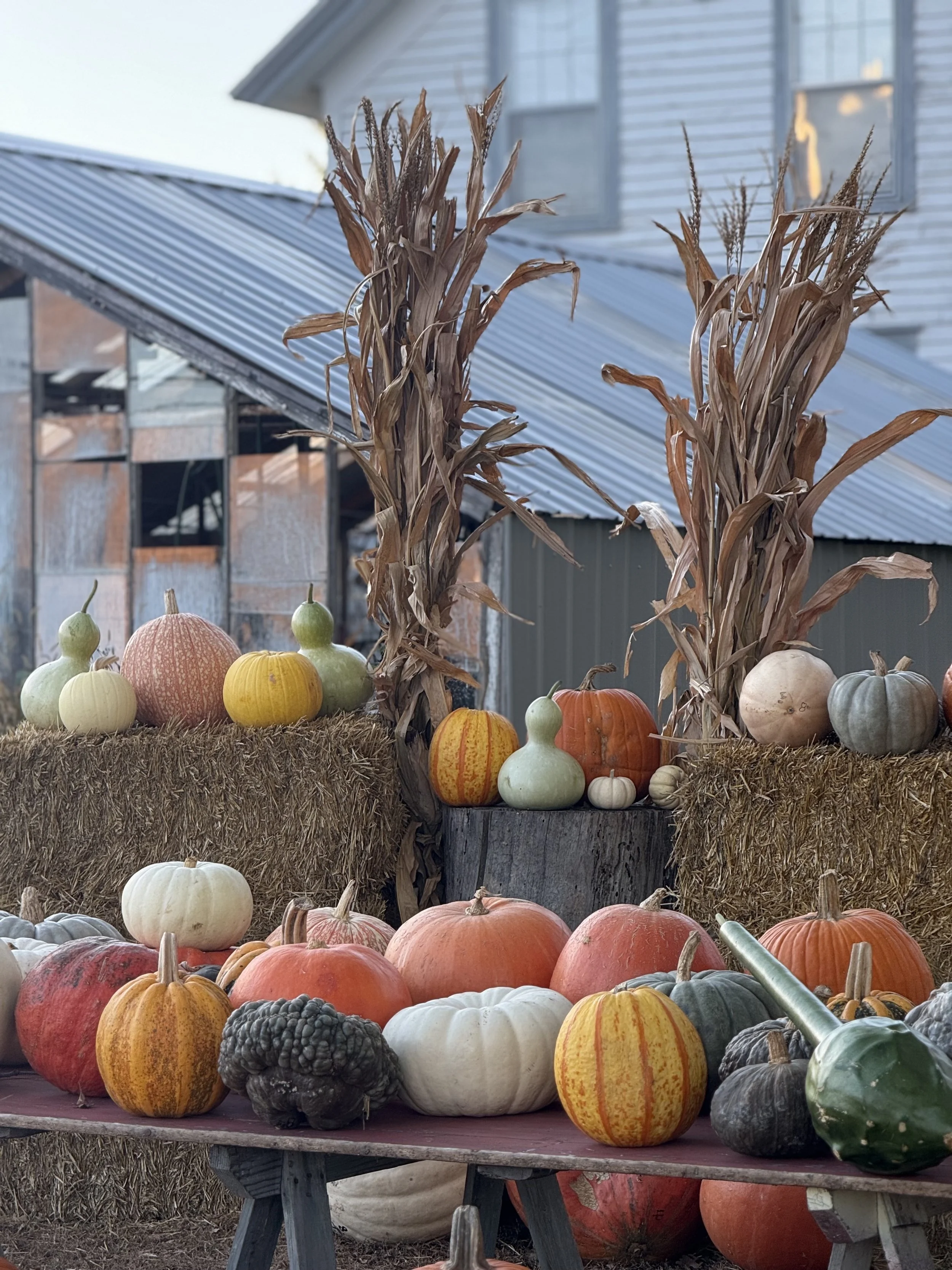 Store Front in Autumn.jpg