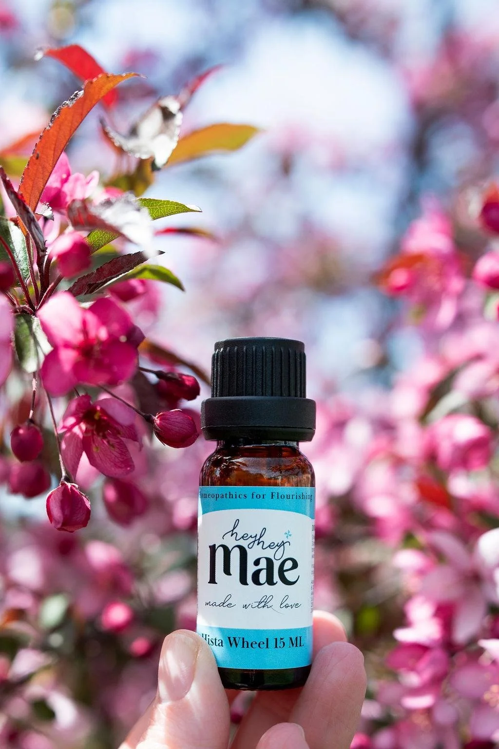 Can you feel that it's Allergy Season?That happened quick! 