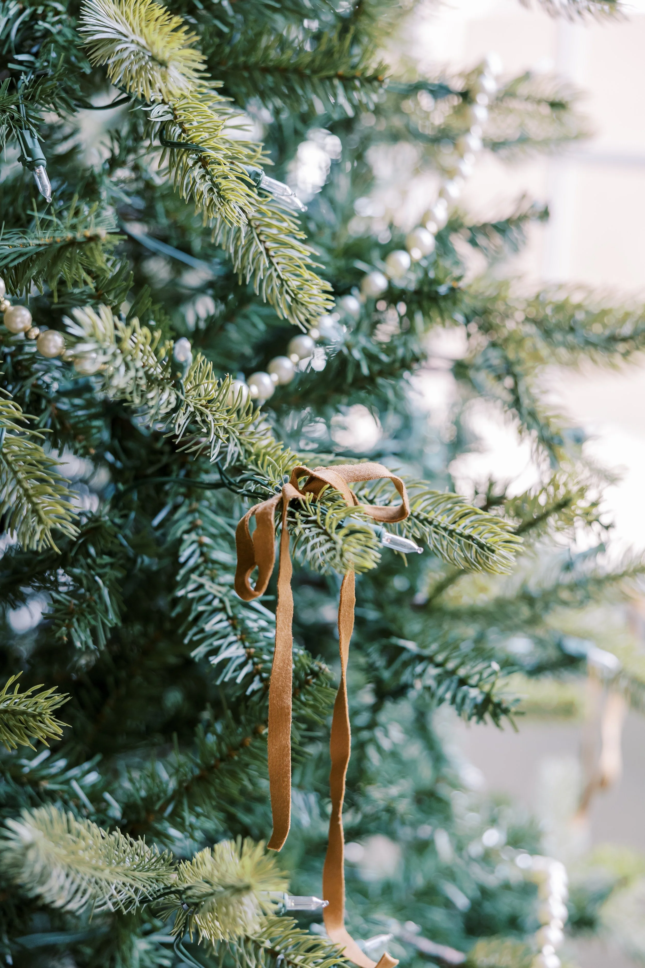 LisaWhyteDecember-0041.jpg