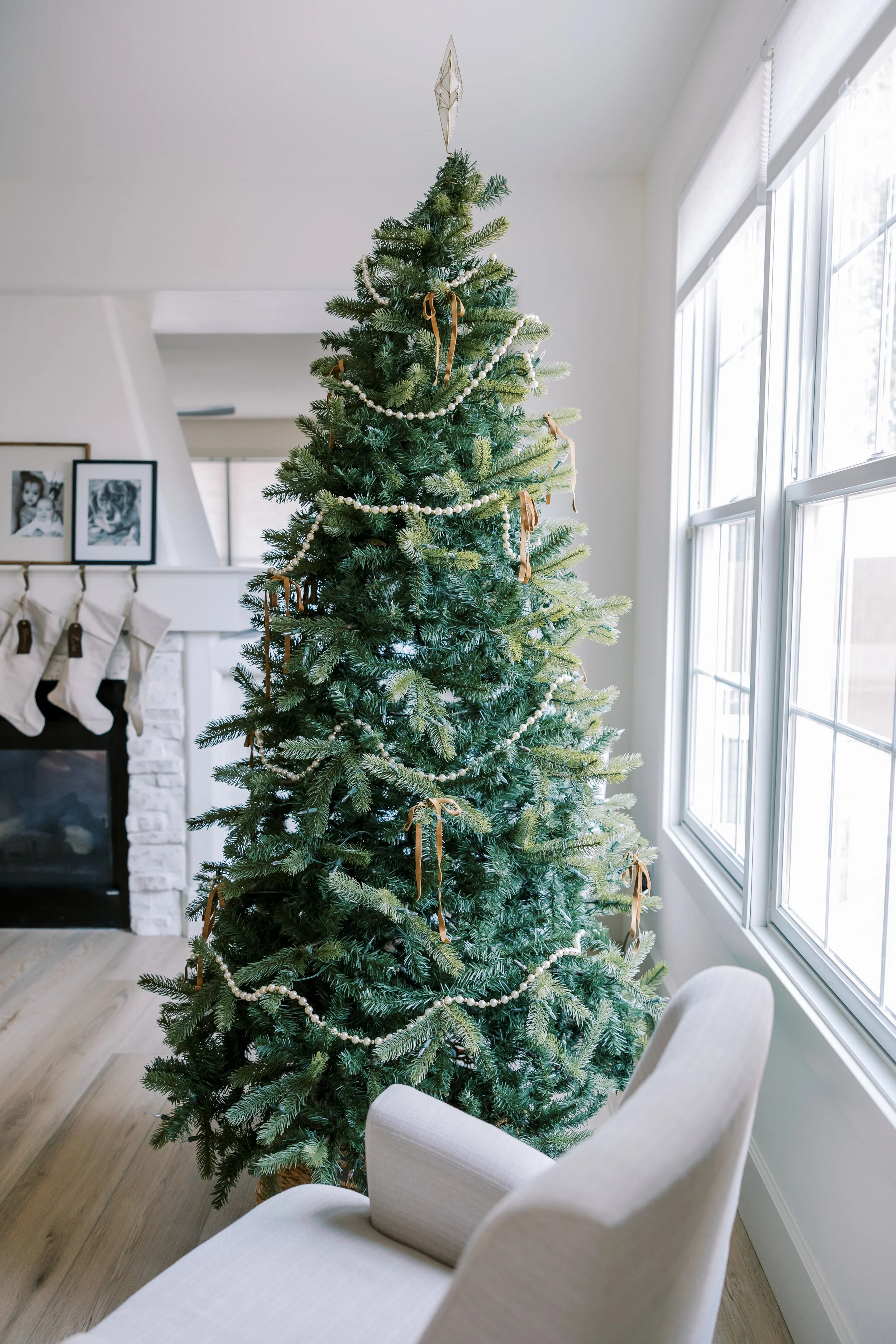 LisaWhyteDecember-0040.jpg