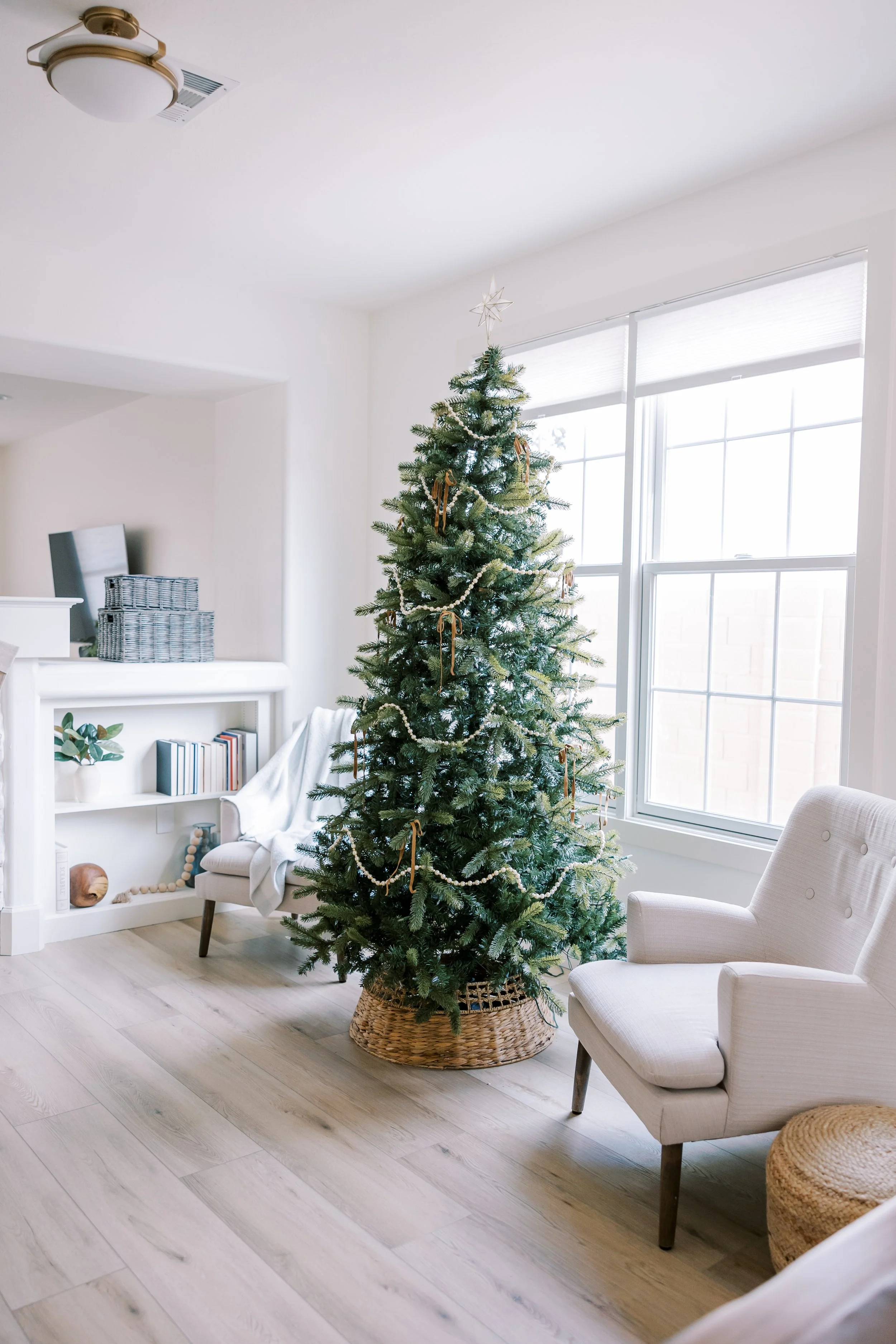 LisaWhyteDecember-0039.jpg