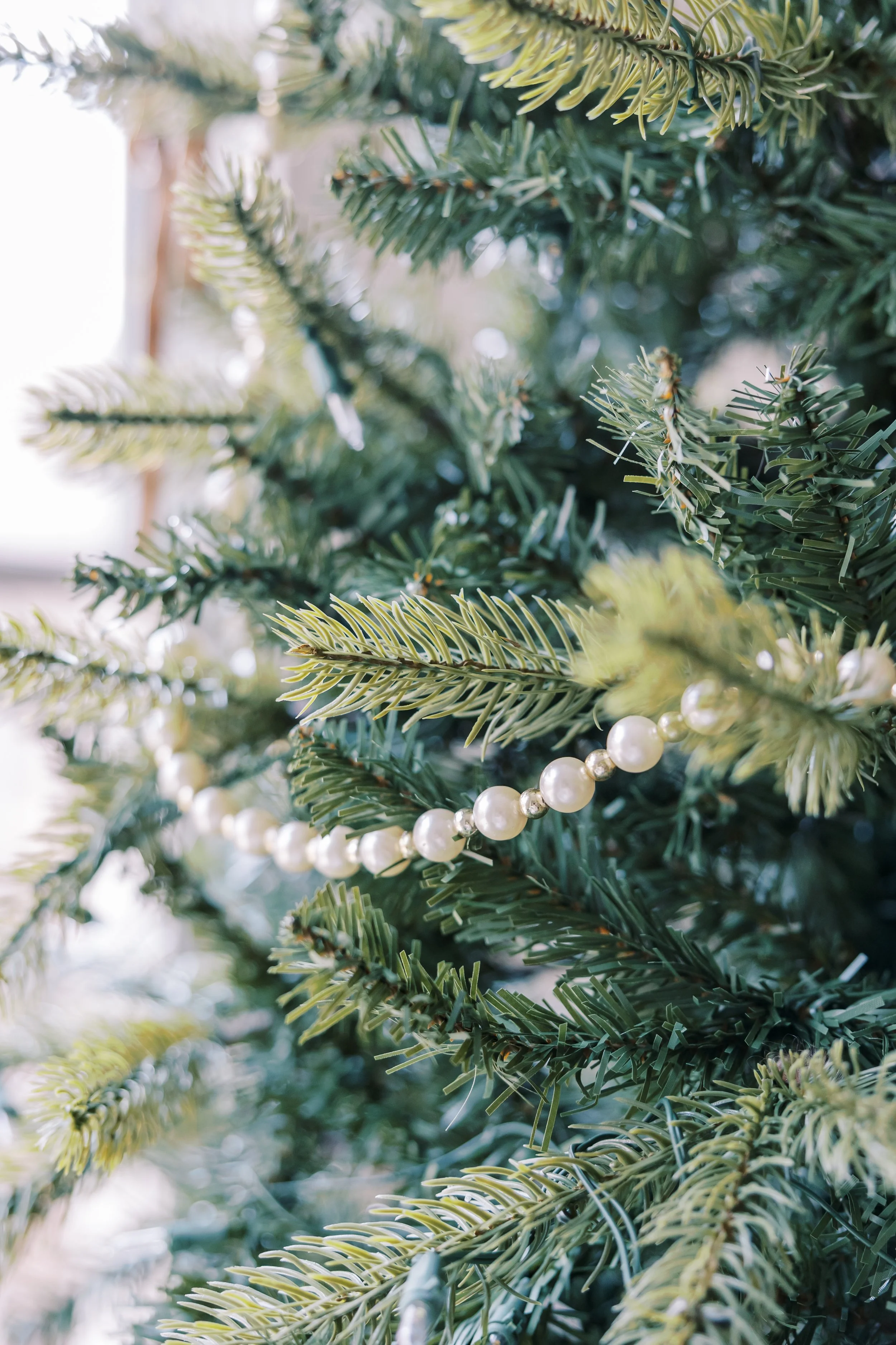 LisaWhyteDecember-0042.jpg