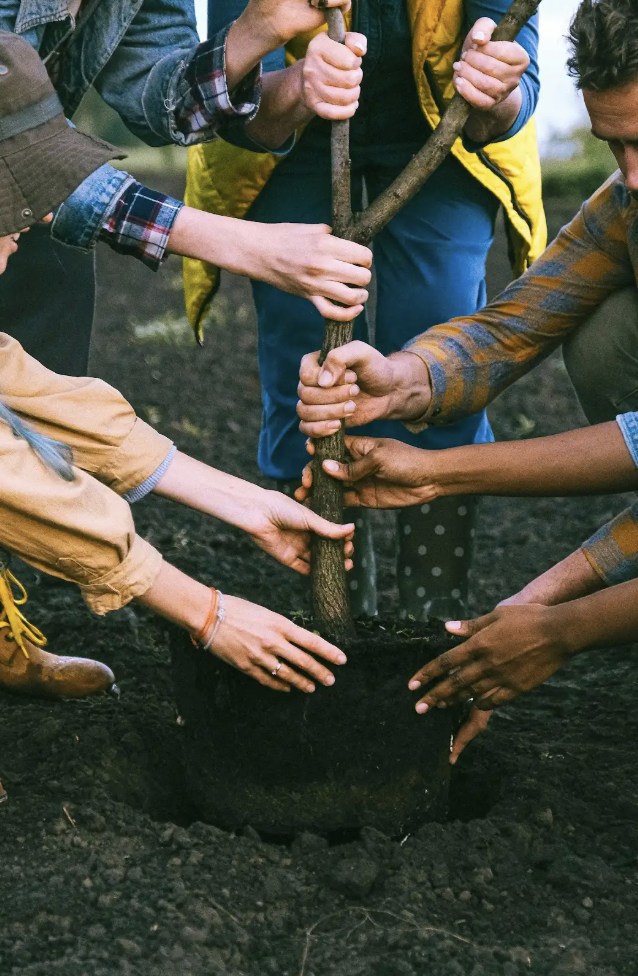 Grow together in Arlington