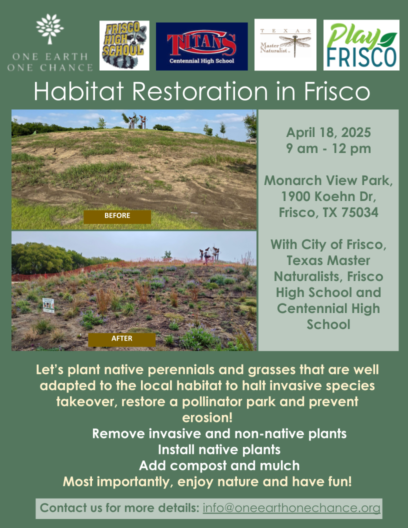 Habitat Restoration at Monarch View Park