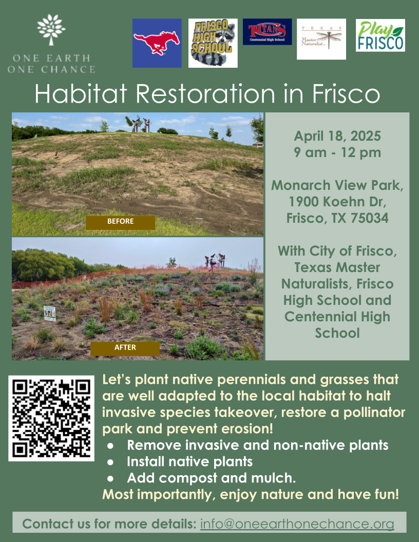 Habitat Restoration at Monarch View Park