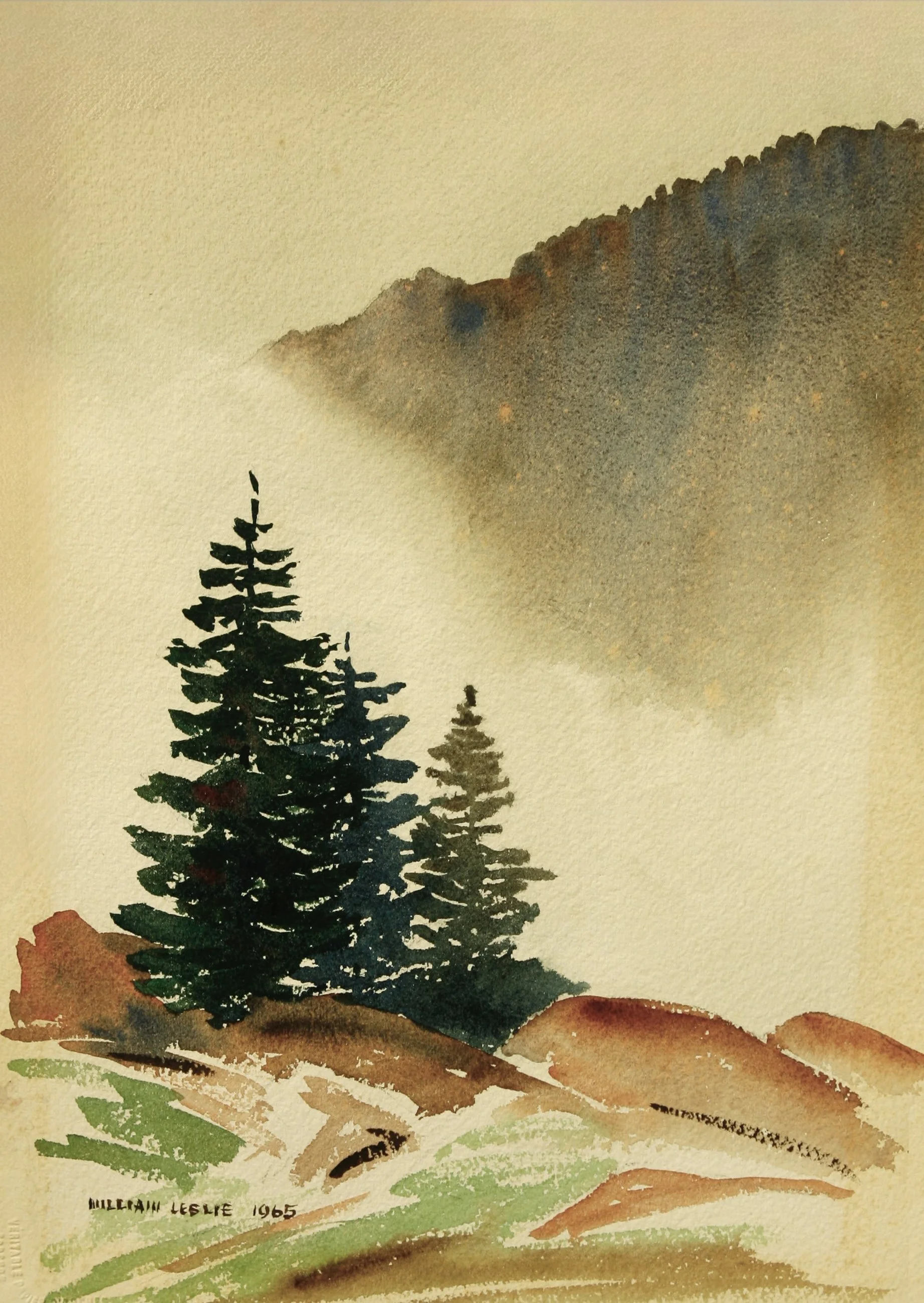 Mountain Mist