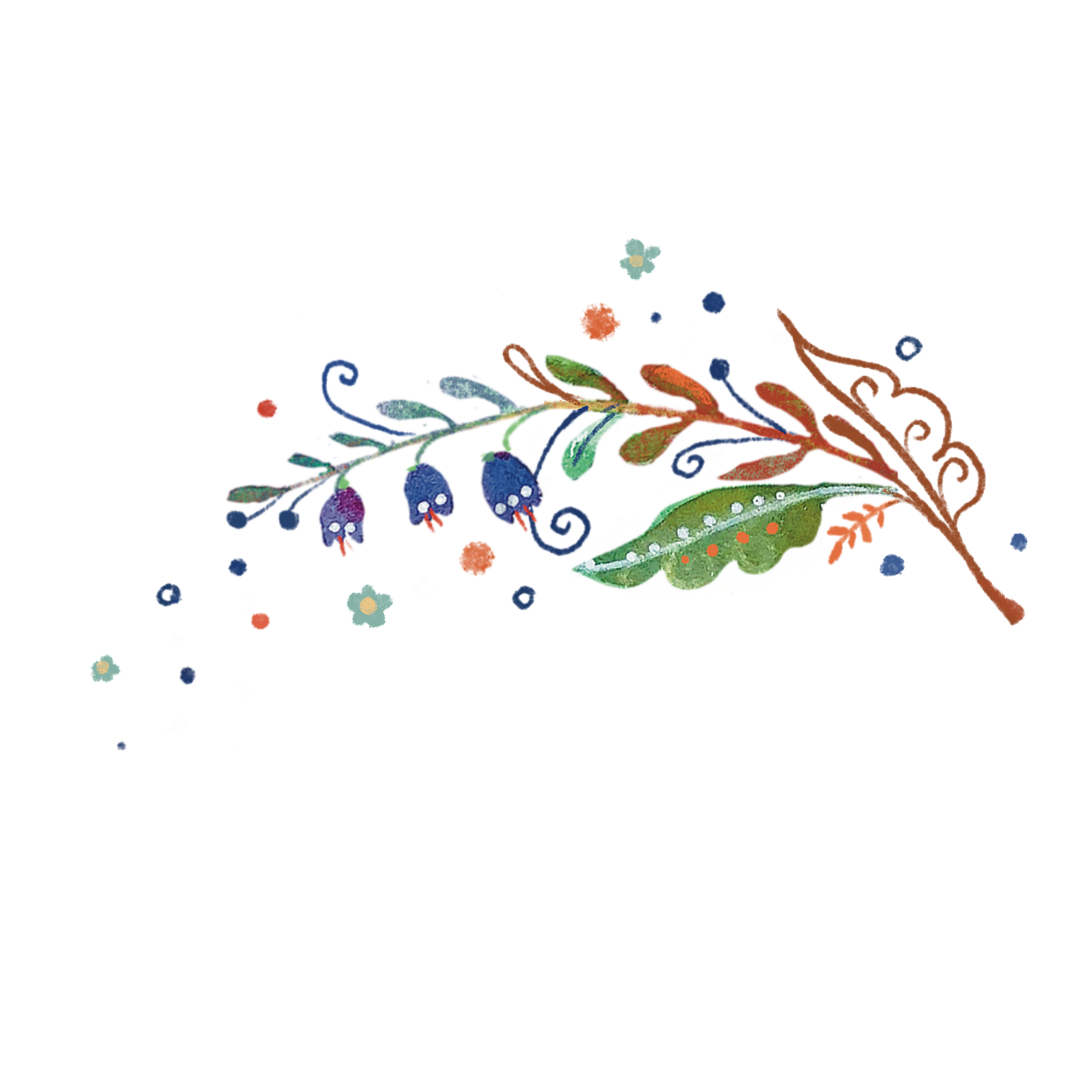 A colorful, artistic illustration of a sprig with berries, leaves, and a butterfly, accompanied by numbers and labels describing each part.