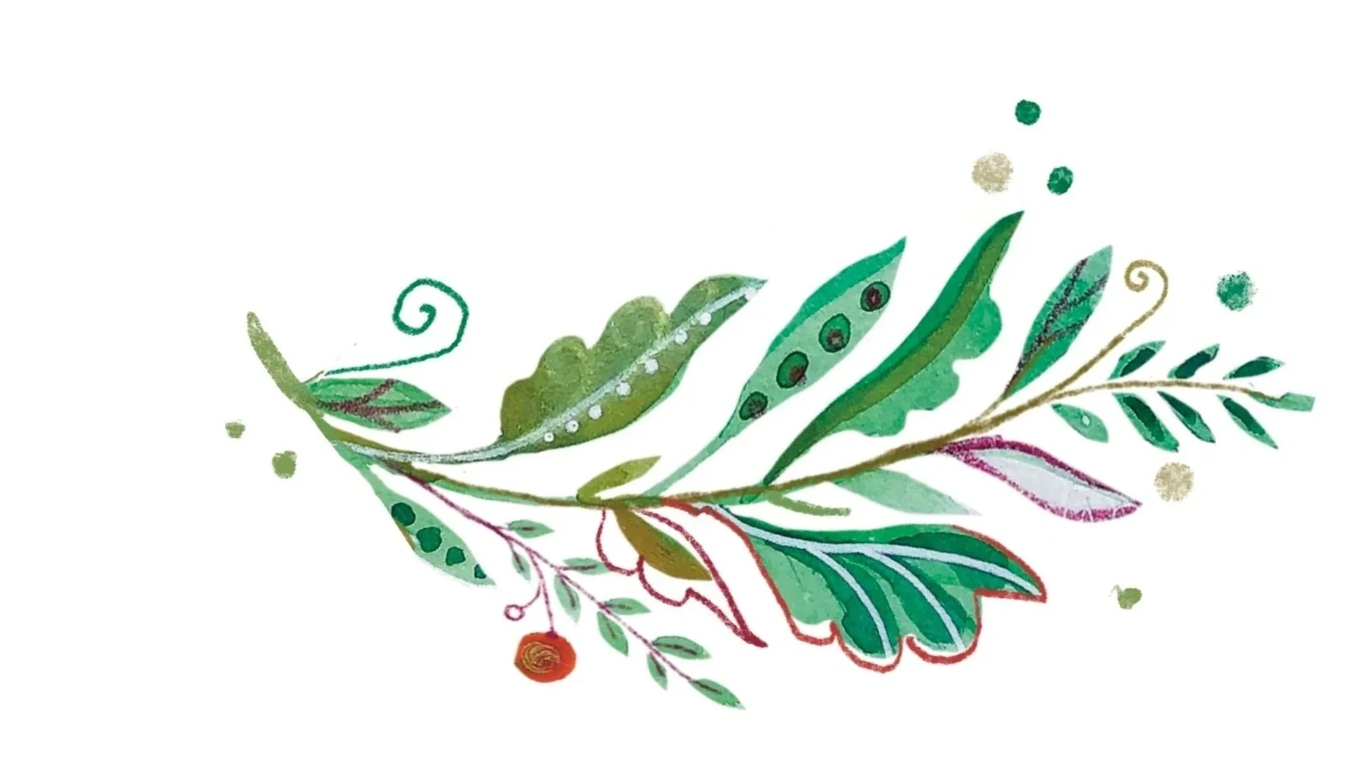 Watercolor illustration of green leafy branches and sprigs with small decorative elements on a white background.
