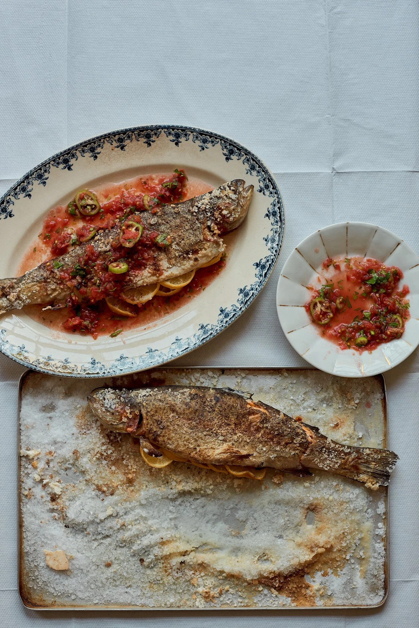 Danube_RainbowTrout_002.jpg