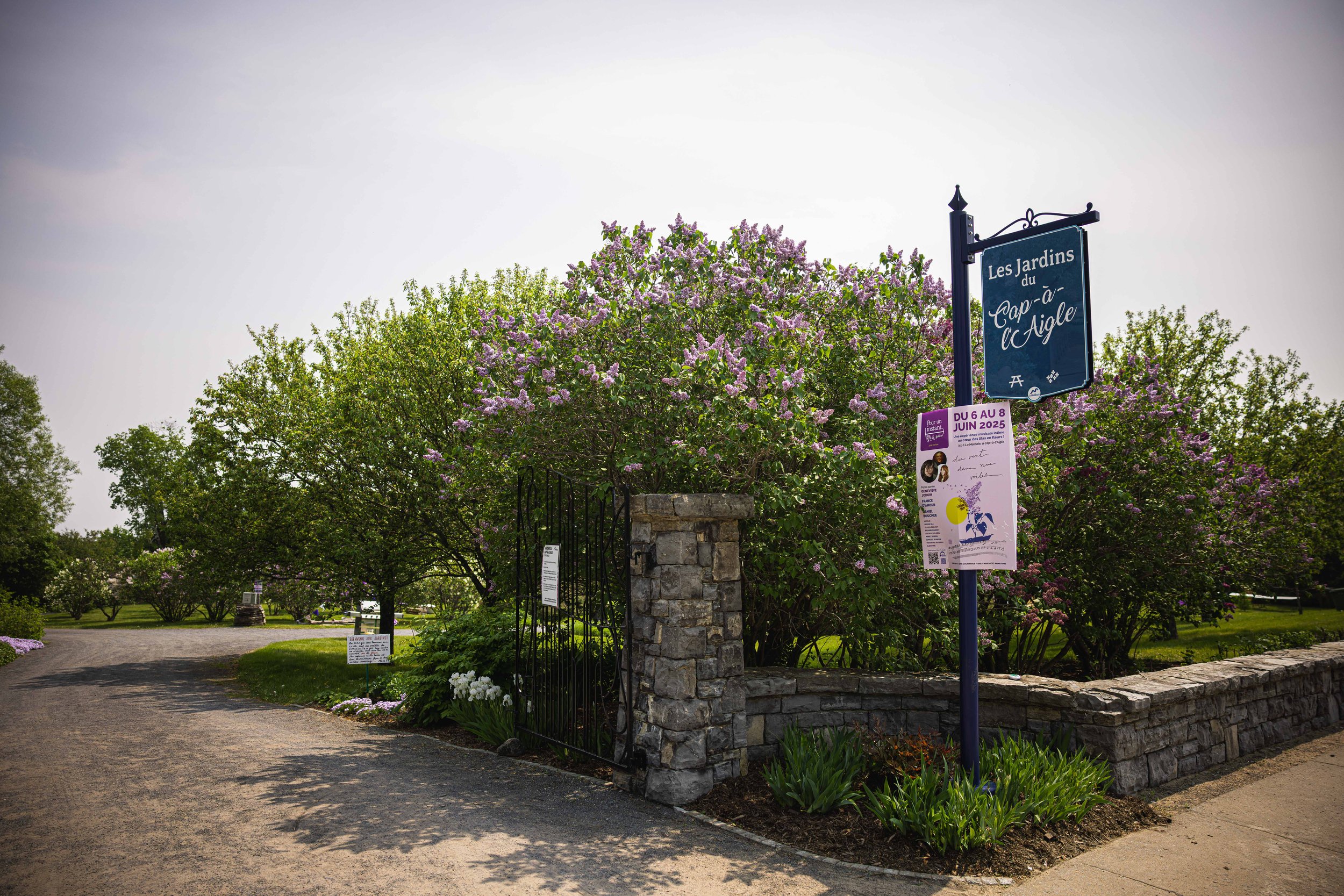 festival Pour un instant V2-9.jpg