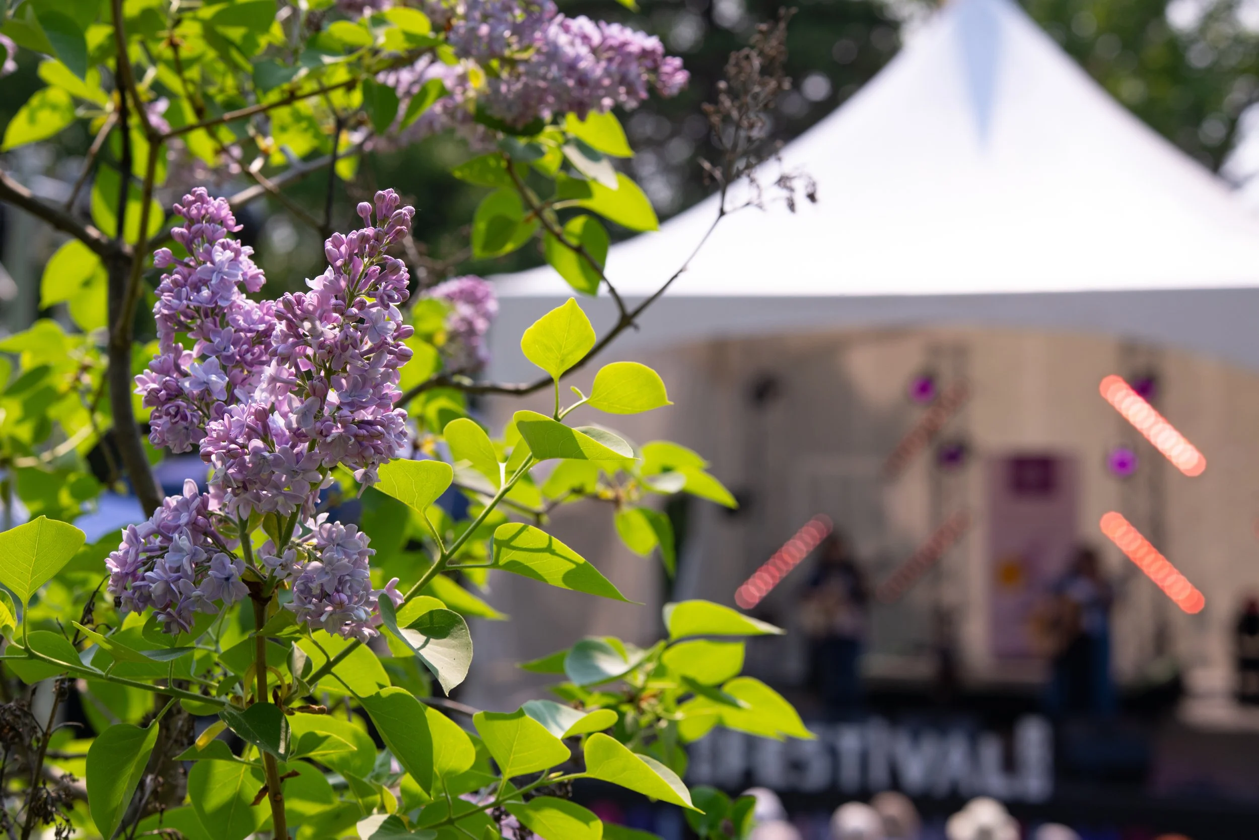 Photo : Geneviève Laurin