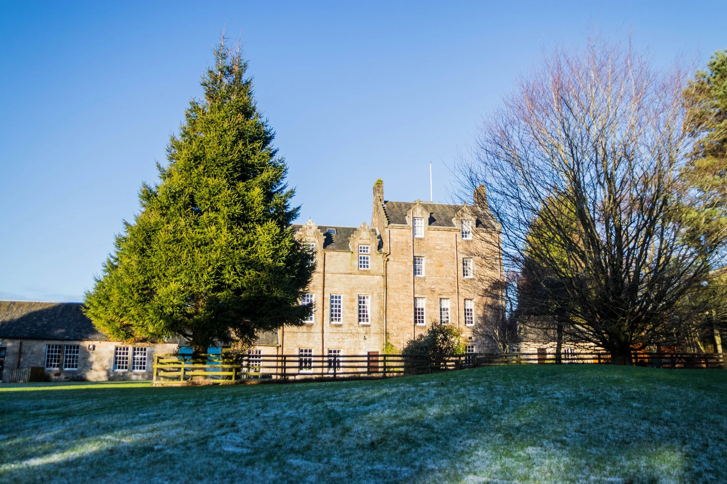 A tall evergreen tree and a leafless deciduous tree in front of a stone building with multiple windows.