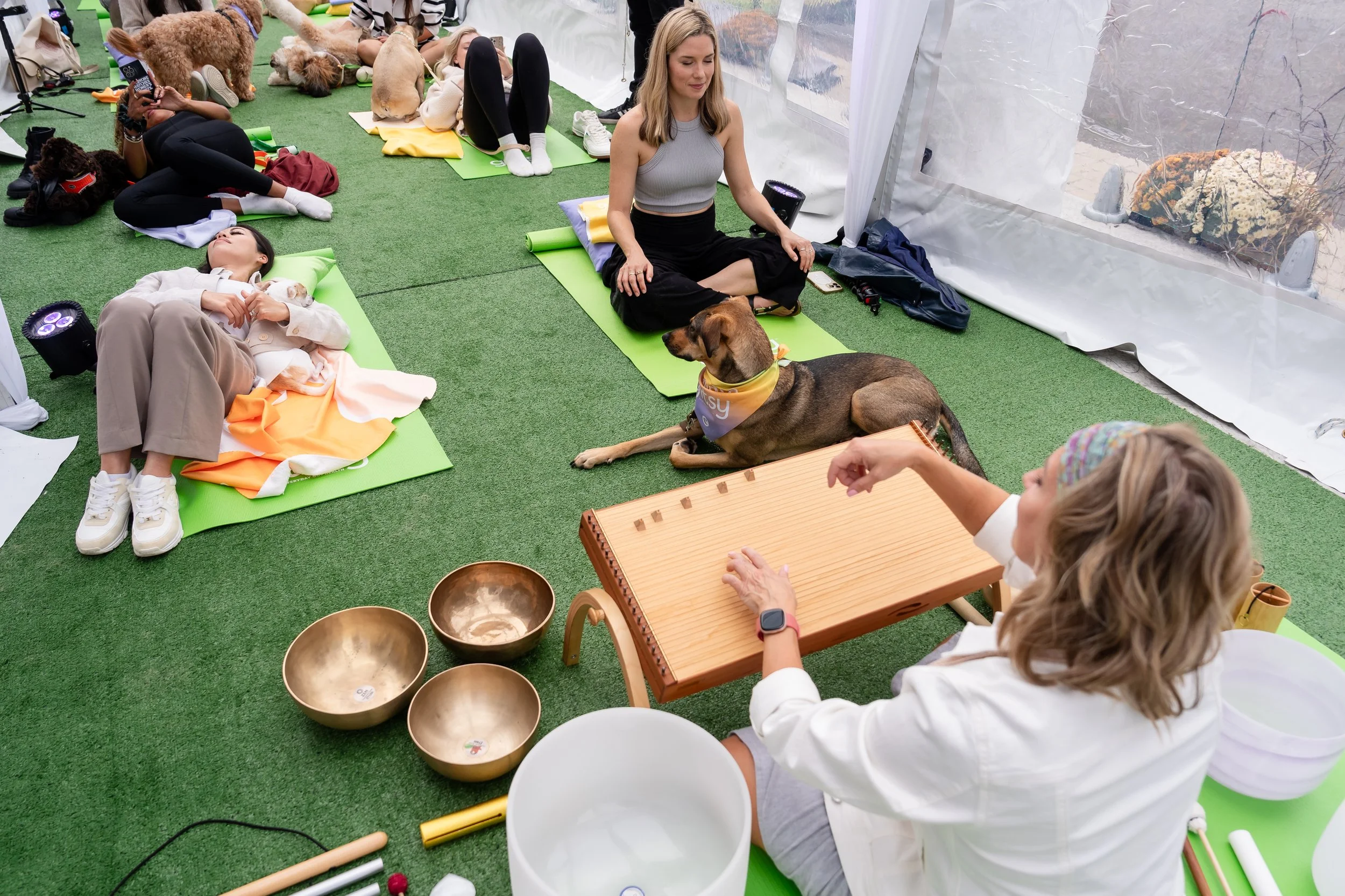 Group of people and their dogs participating in a sound healing meditation at Gutsy – The Hive event, with singing bowls and gongs