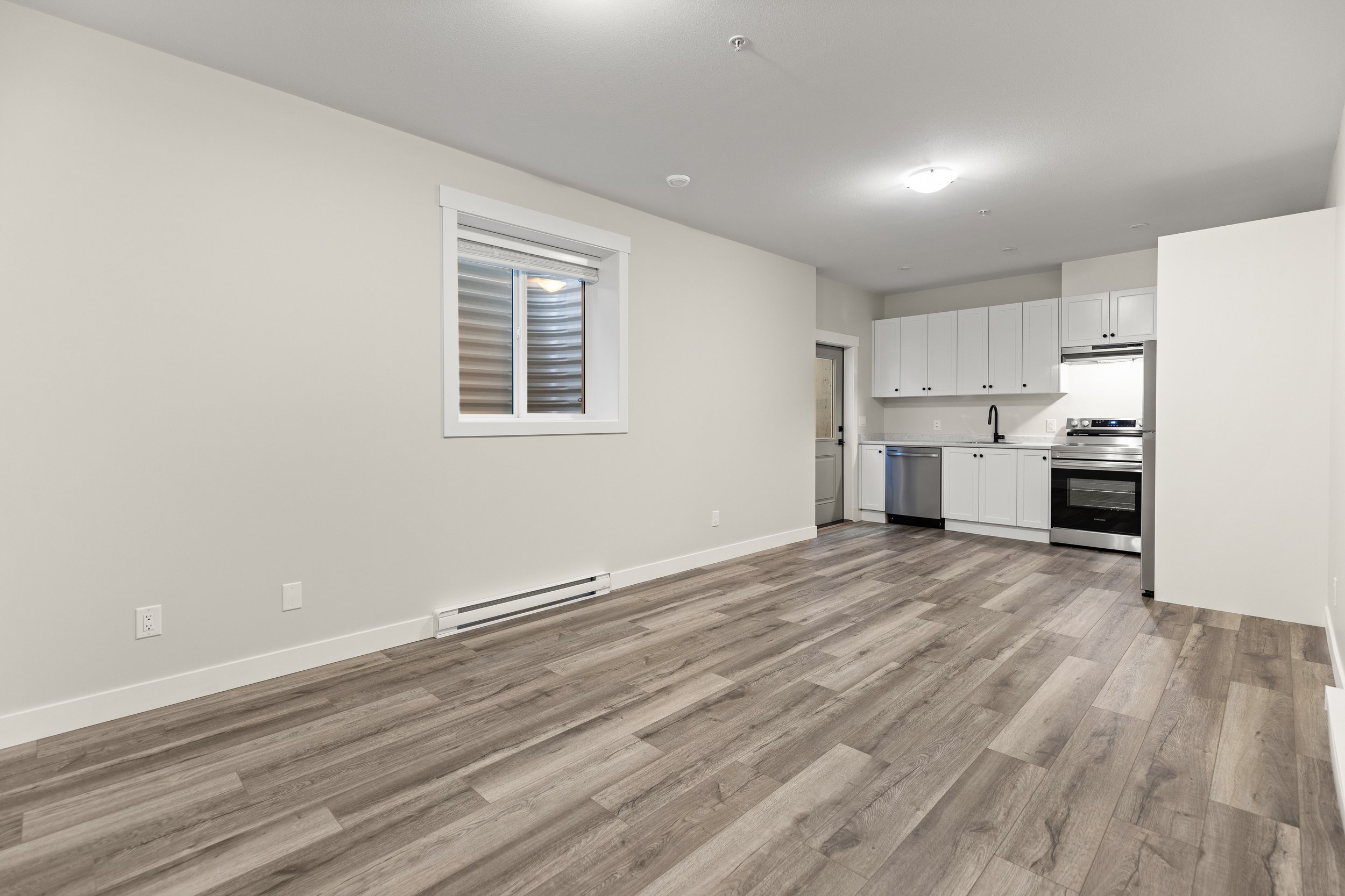 Basement Living Area
