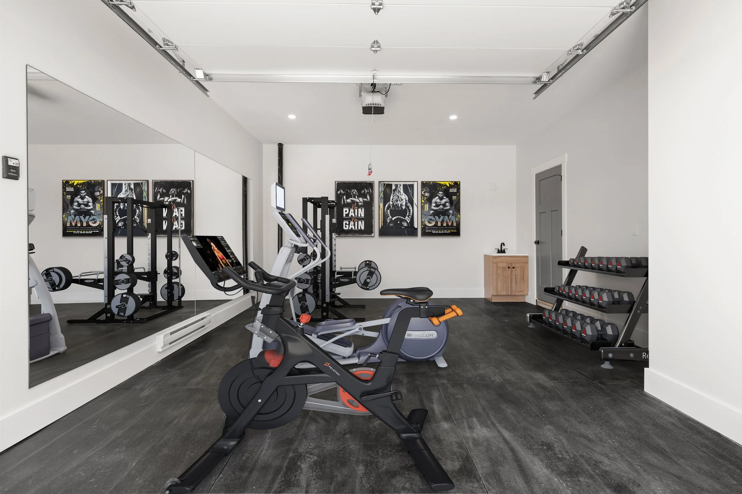 pacific-peak-iron-horse-in-home-gym-rec-room.jpg