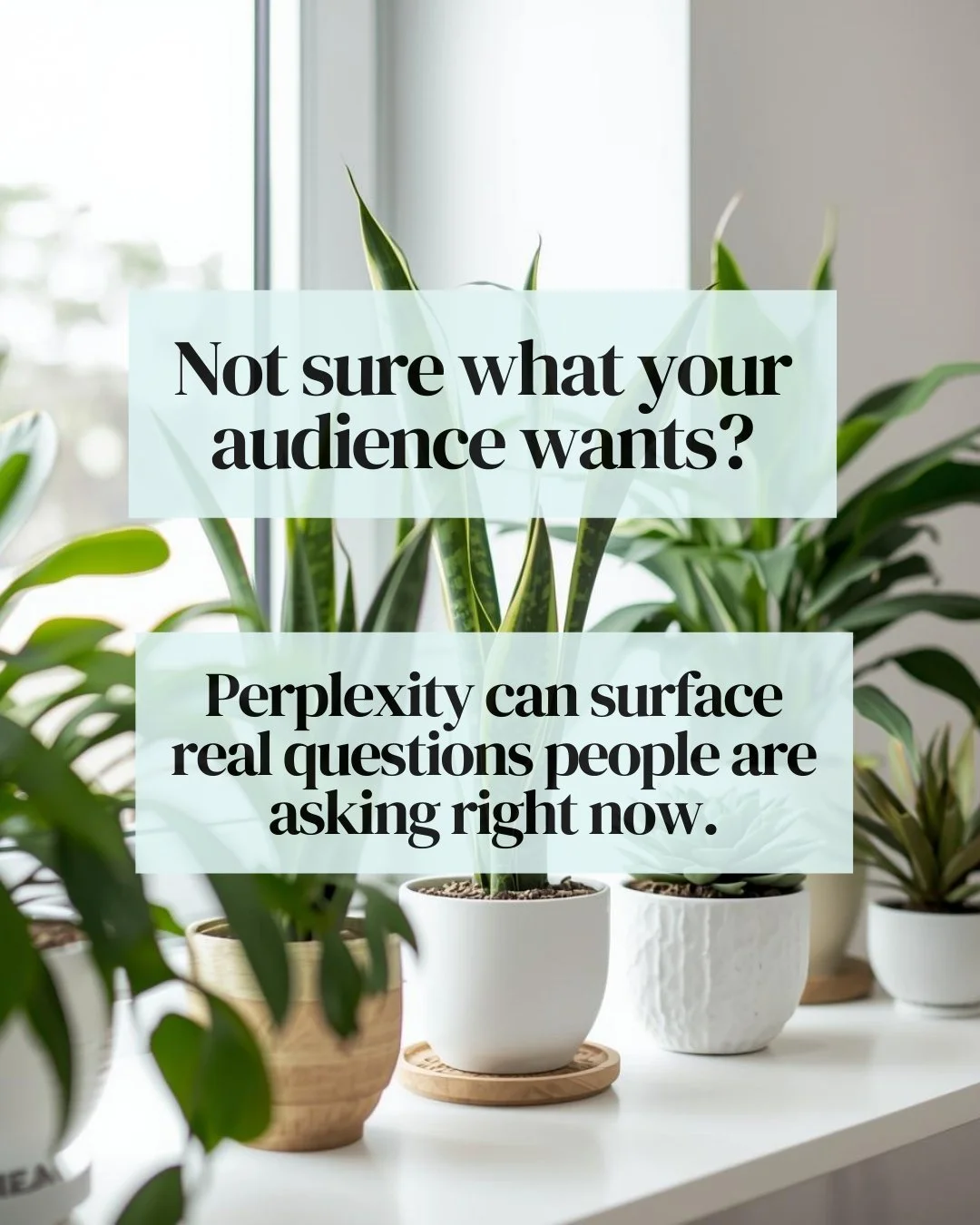 If your content feels hit-or-miss, the problem usually isn&rsquo;t creativity &mdash; it&rsquo;s insight.
Perplexity can show you what people are actually asking in real time.

Their words &rarr; your hooks.
Their struggles &rarr; your content.
Their