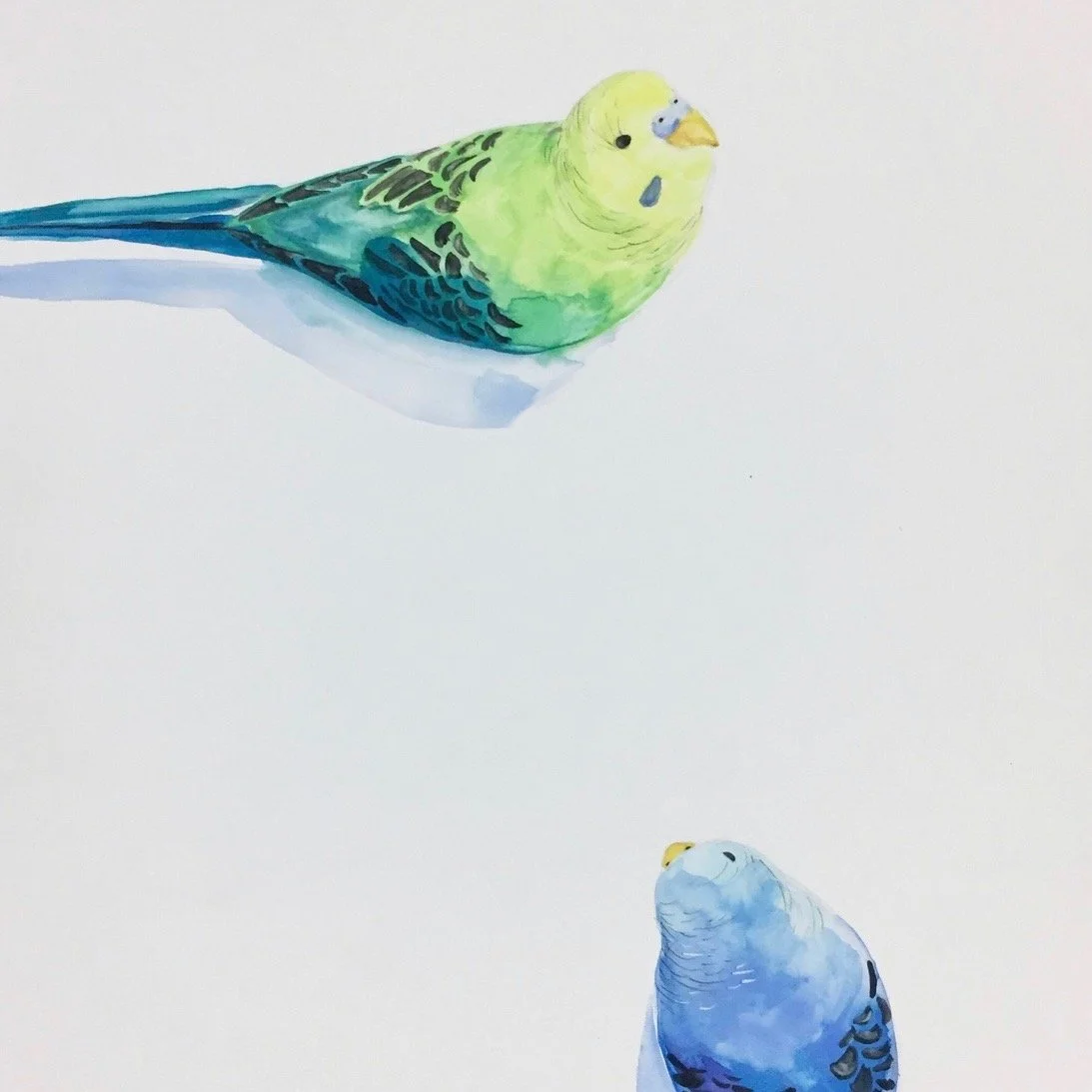 Saturday Watercolor Workshop- Animals