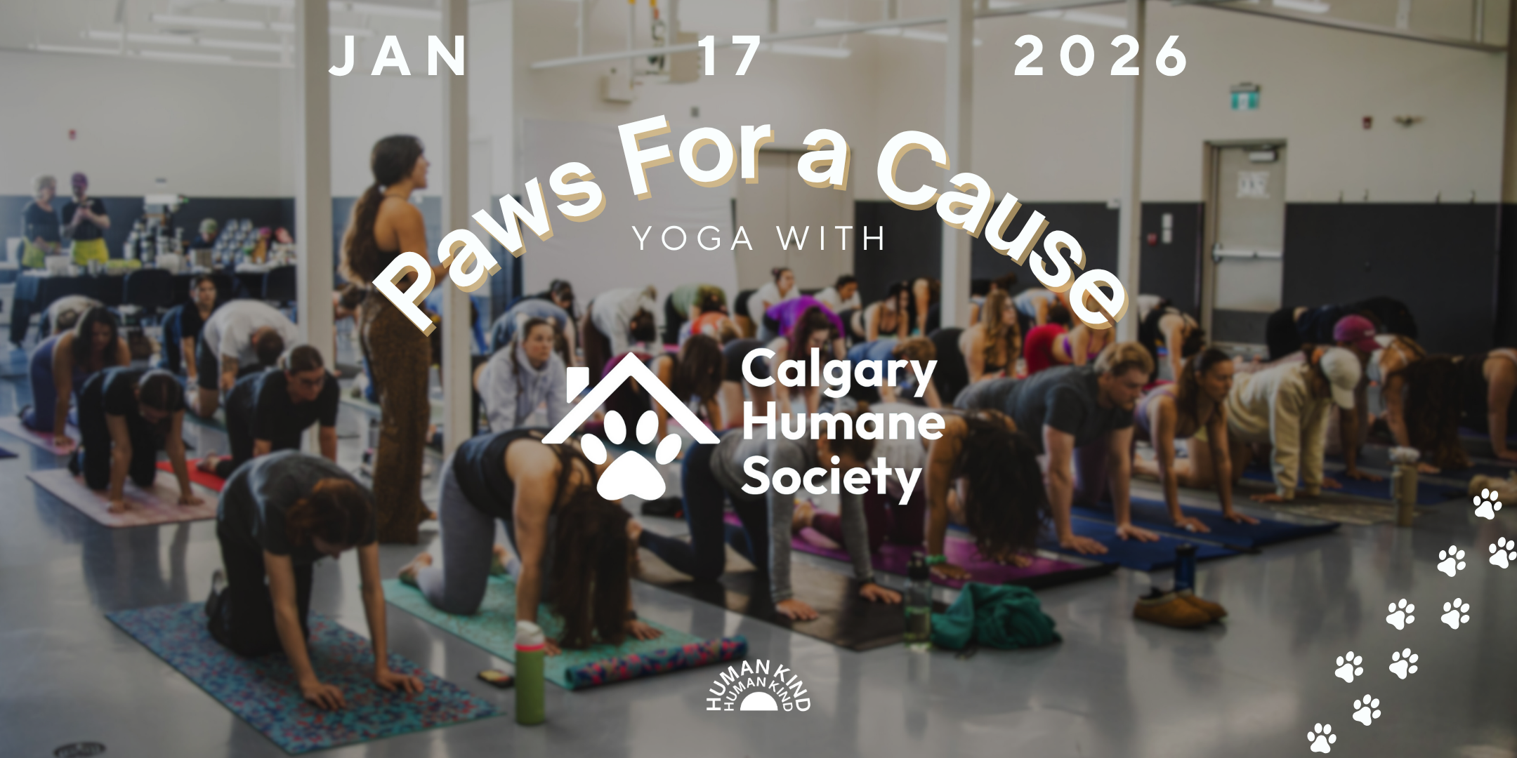 Paws For a Cause 3.0