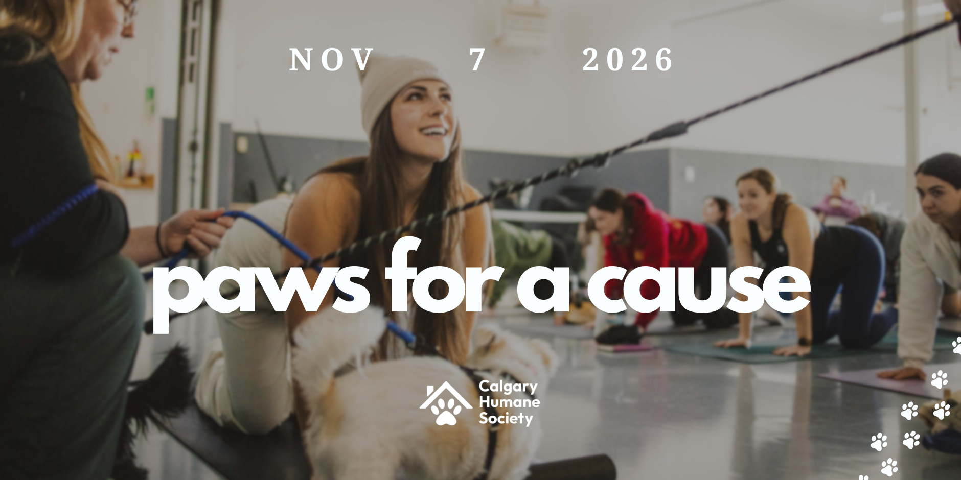 Paws For a Cause