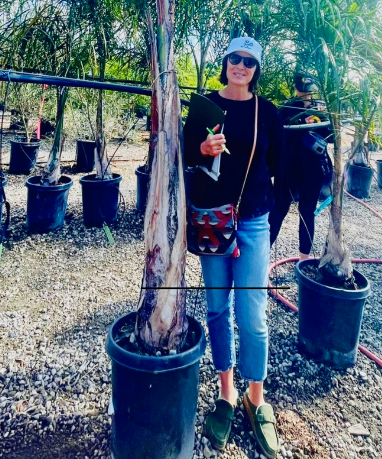 Krista Percival Landscape designer selecting trees with a client in San Diego area.