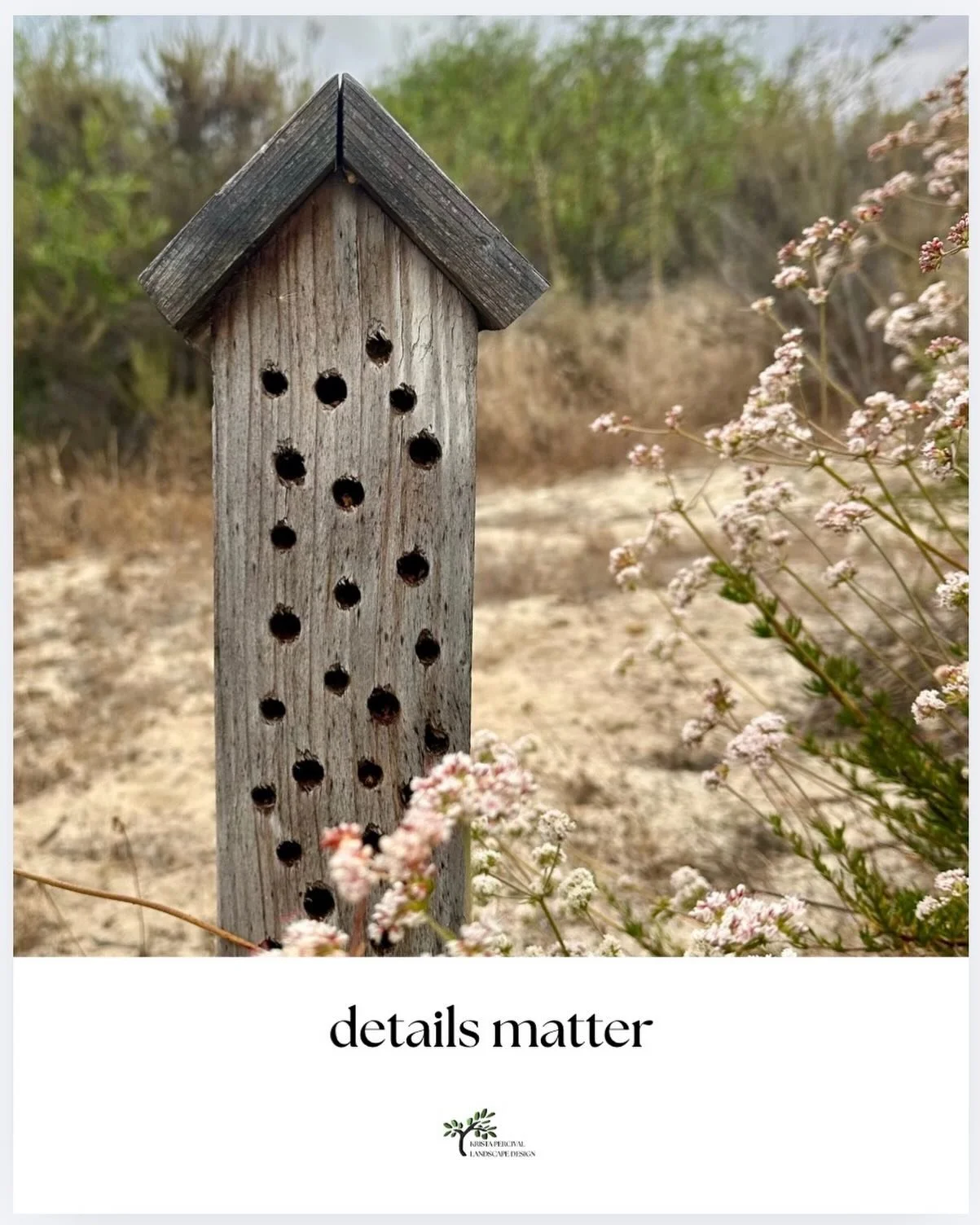 I love this native bee hotel off the path in the San Elijo lagoon- it&rsquo;s a great way to invite life into a landscape and reminds us to pay attention to the beauty around us.