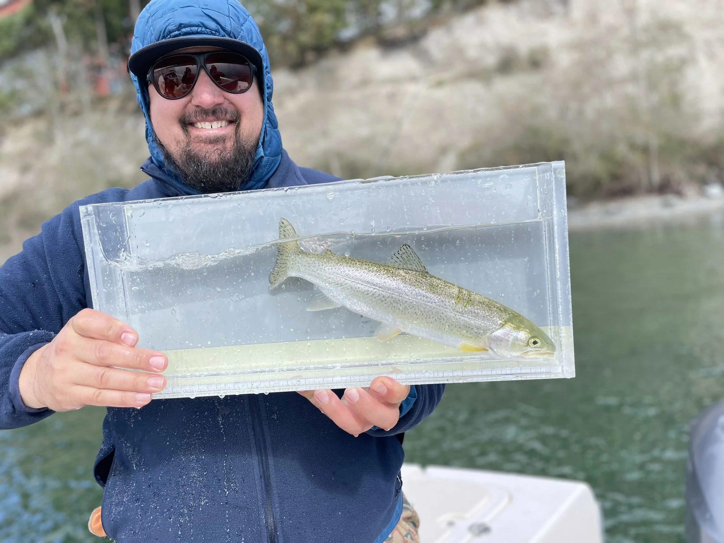 mark depace hudson ny creative producer agency leader