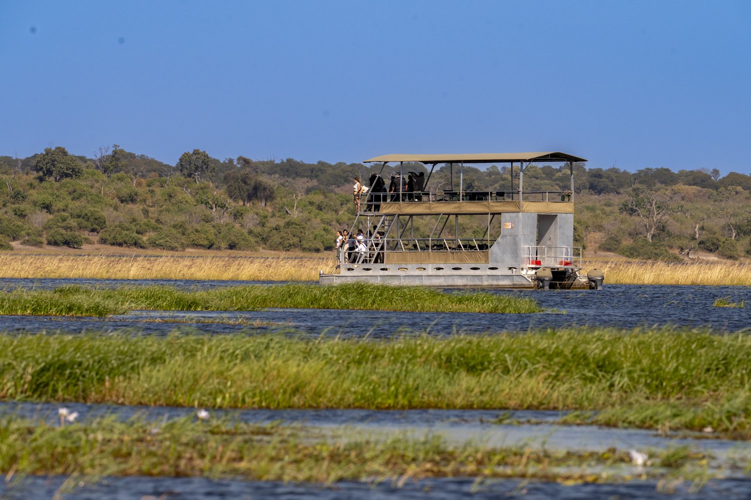 On the Zambezi - Chobe National Park, Botswana