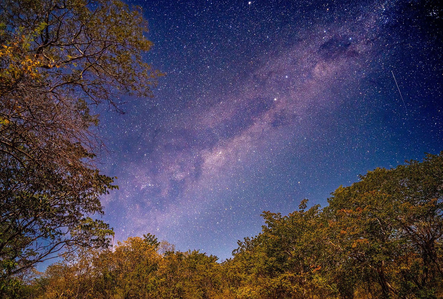 Stars over Zimbabwe