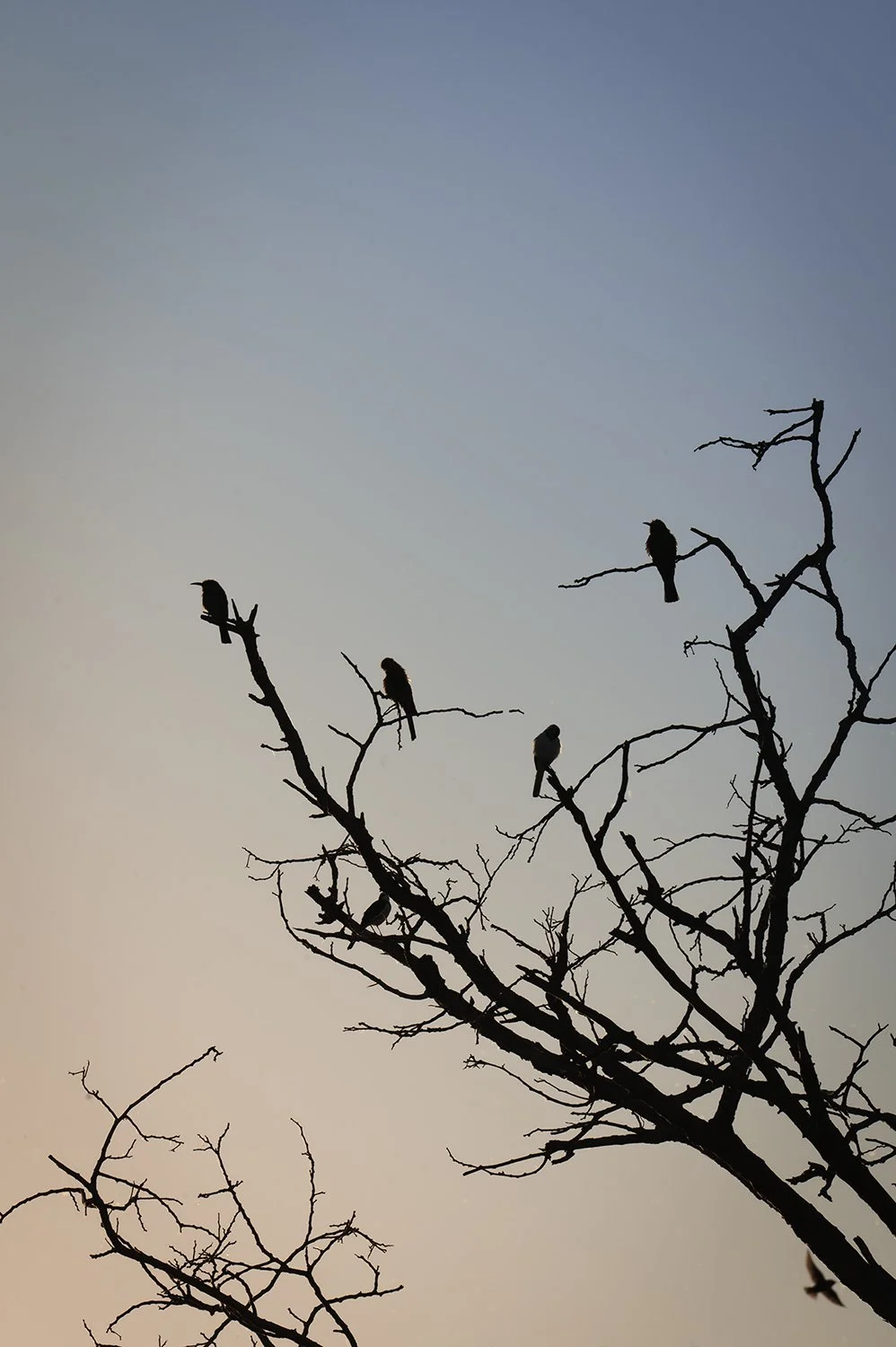 Website- Zimbabwe- 26.jpg