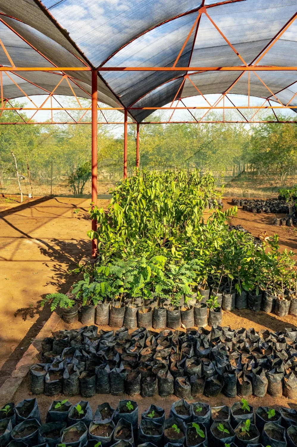 A Village Greenhouse