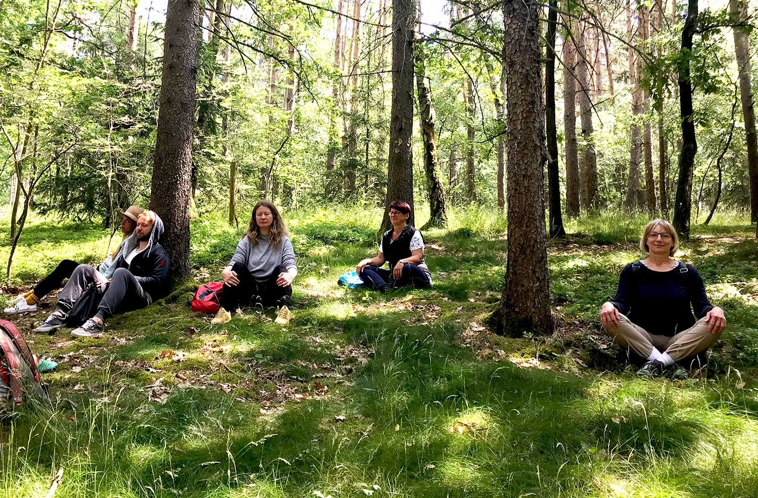 Auszeit beim Waldbaden mit Danielle Telle