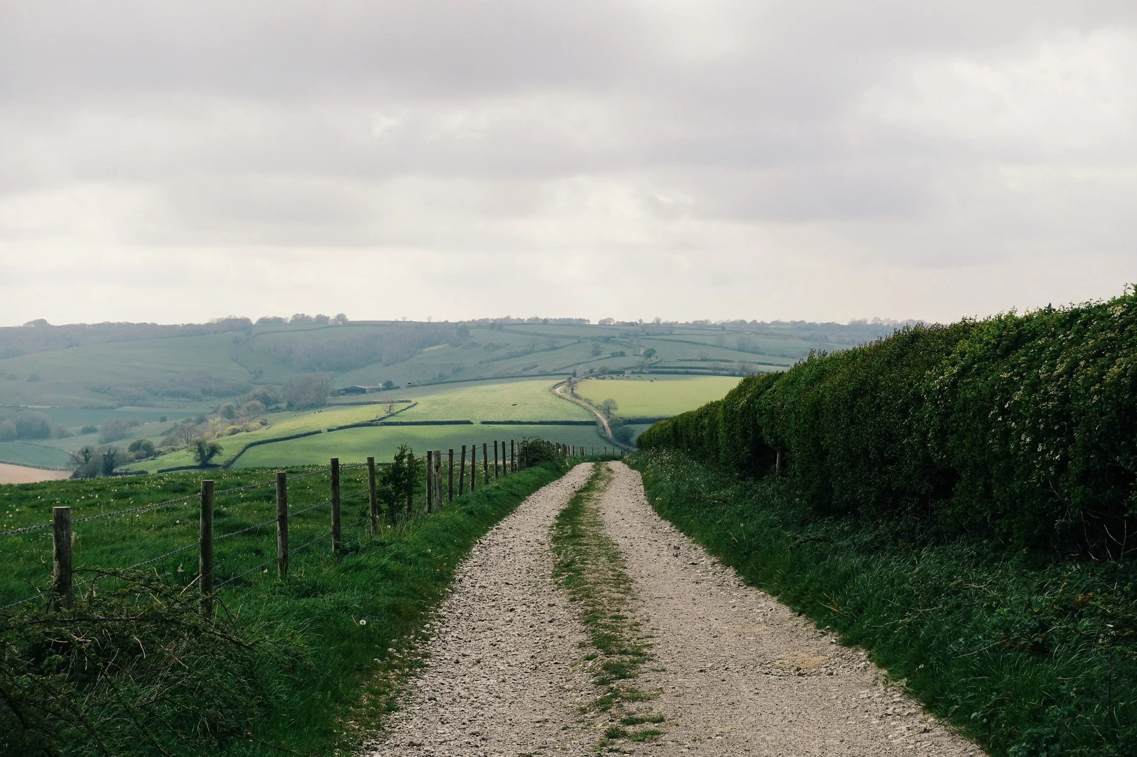 A gravel country road flanked by green grass and a fence on the left, and a hedge on the right, leads into a scenic landscape of rolling green hills under a cloudy sky.