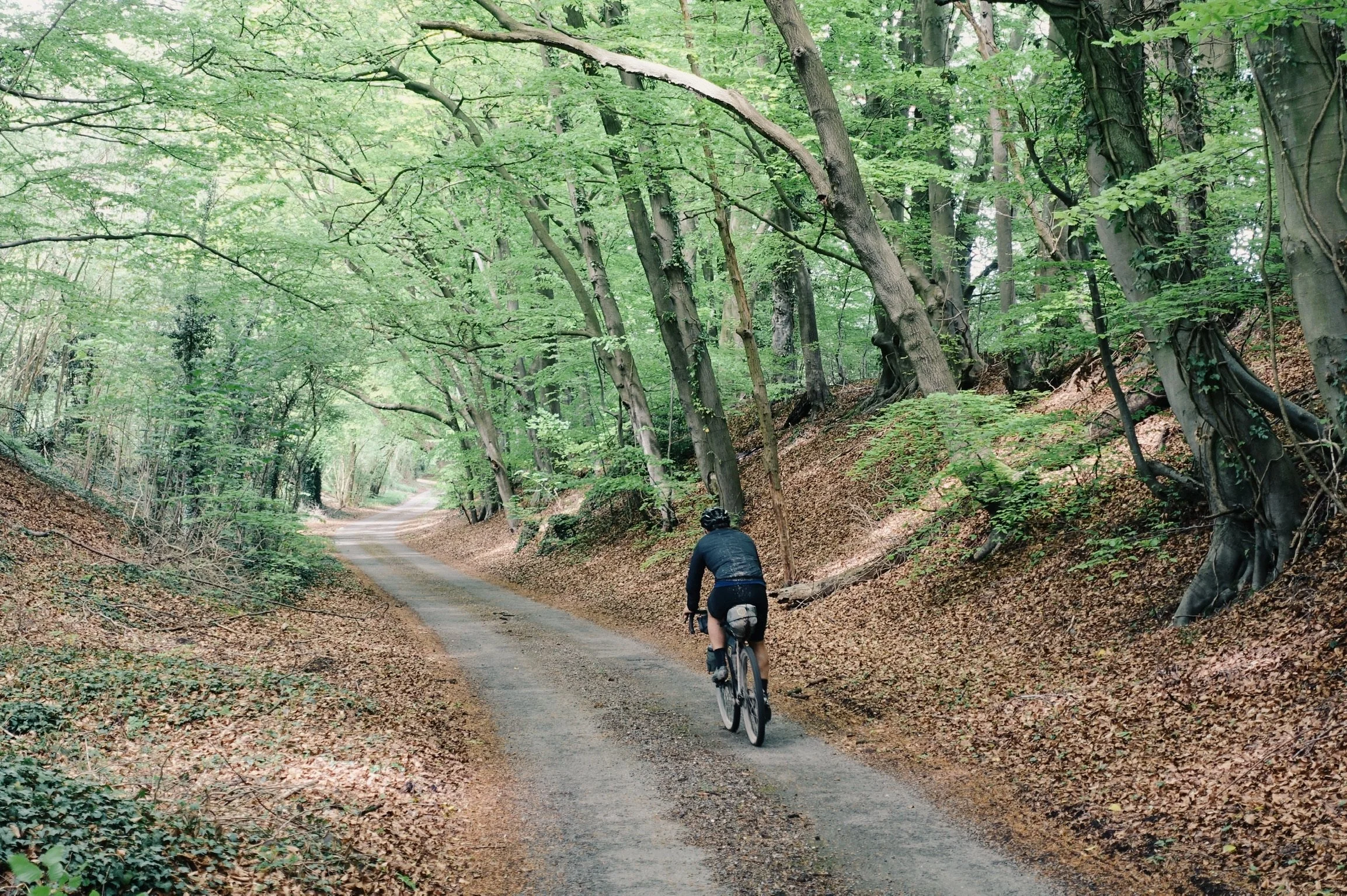 A person riding a mountain bike on a dirt trail through a lush green forest with tall trees and leafy branches.