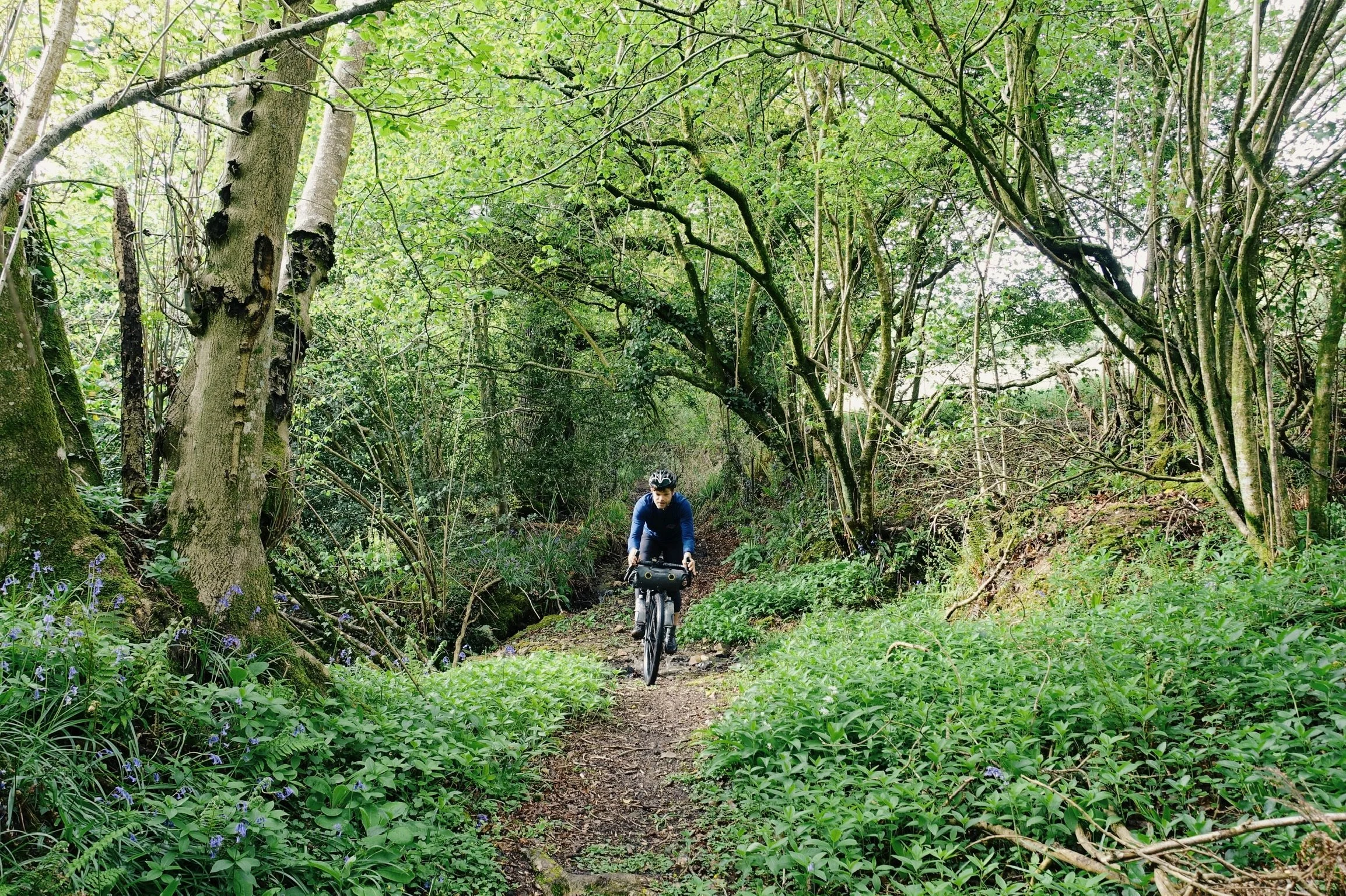 A person riding a mountain bike on a narrow dirt trail through a lush green forest with tall trees and dense foliage.