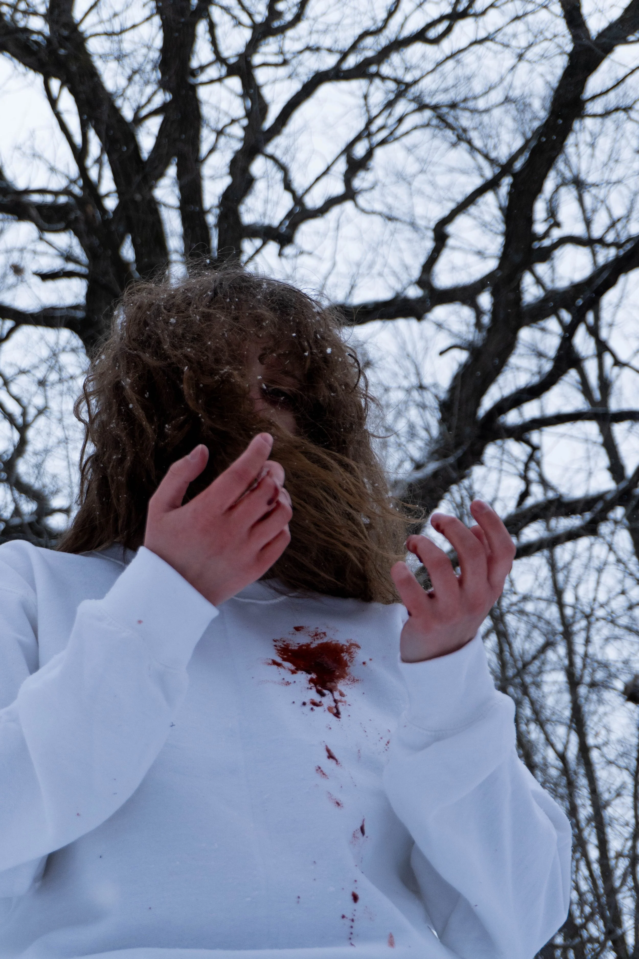 Themed Portraits - Avery/Avian Stillings