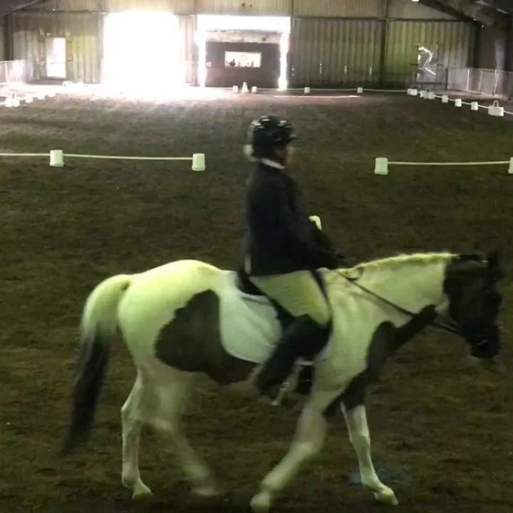 Okay, time to reveal the truth (and yes, I&rsquo;ve got picture proof to back it up 👀). Drumroll, please&hellip; 🥁 Only one of these was a big ol&rsquo; lie!

Let&rsquo;s break it down:

✅ TRUE! I did move here to be a horse trainer. I rode for 14 