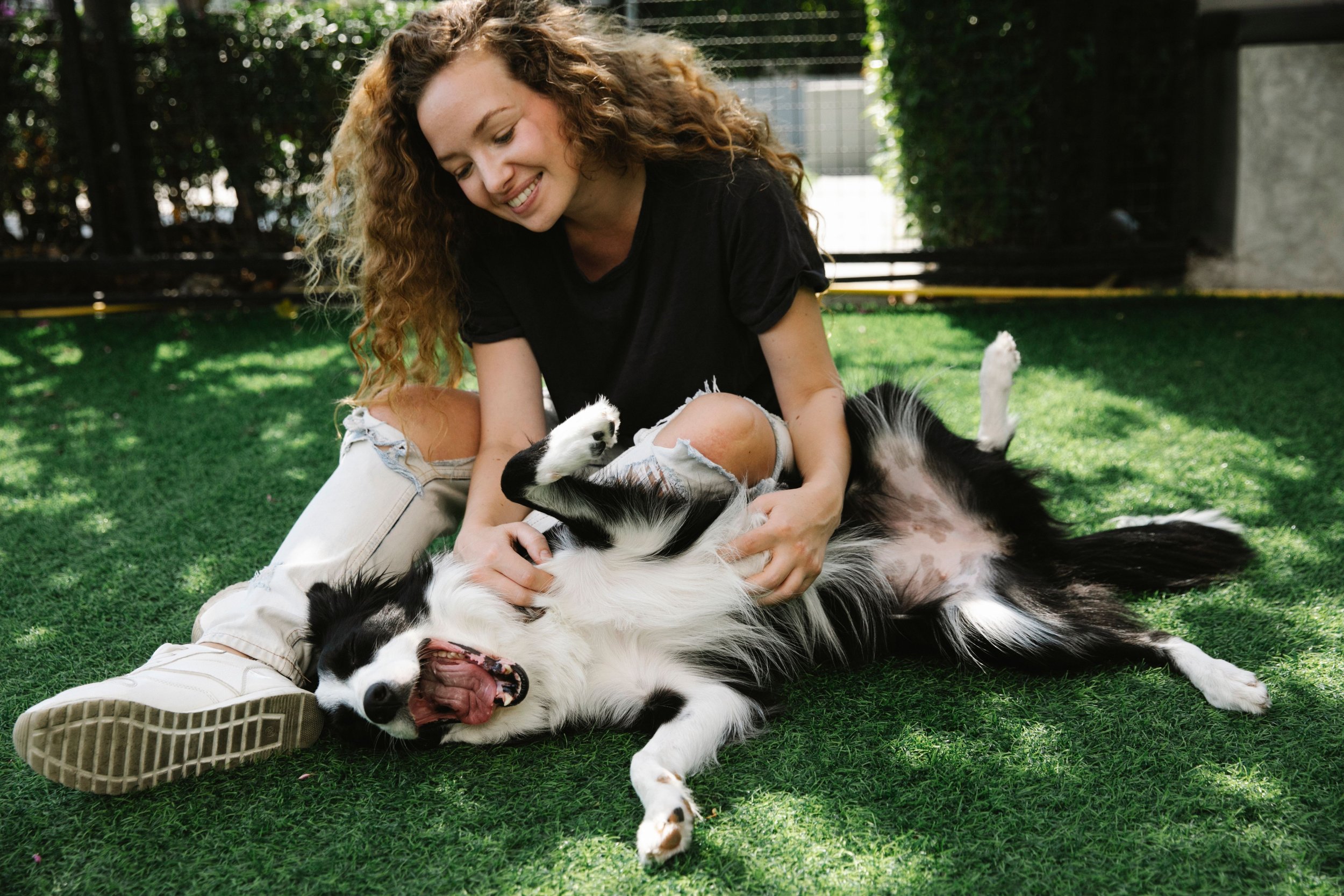 A woman plays with a black and white dog outside.
