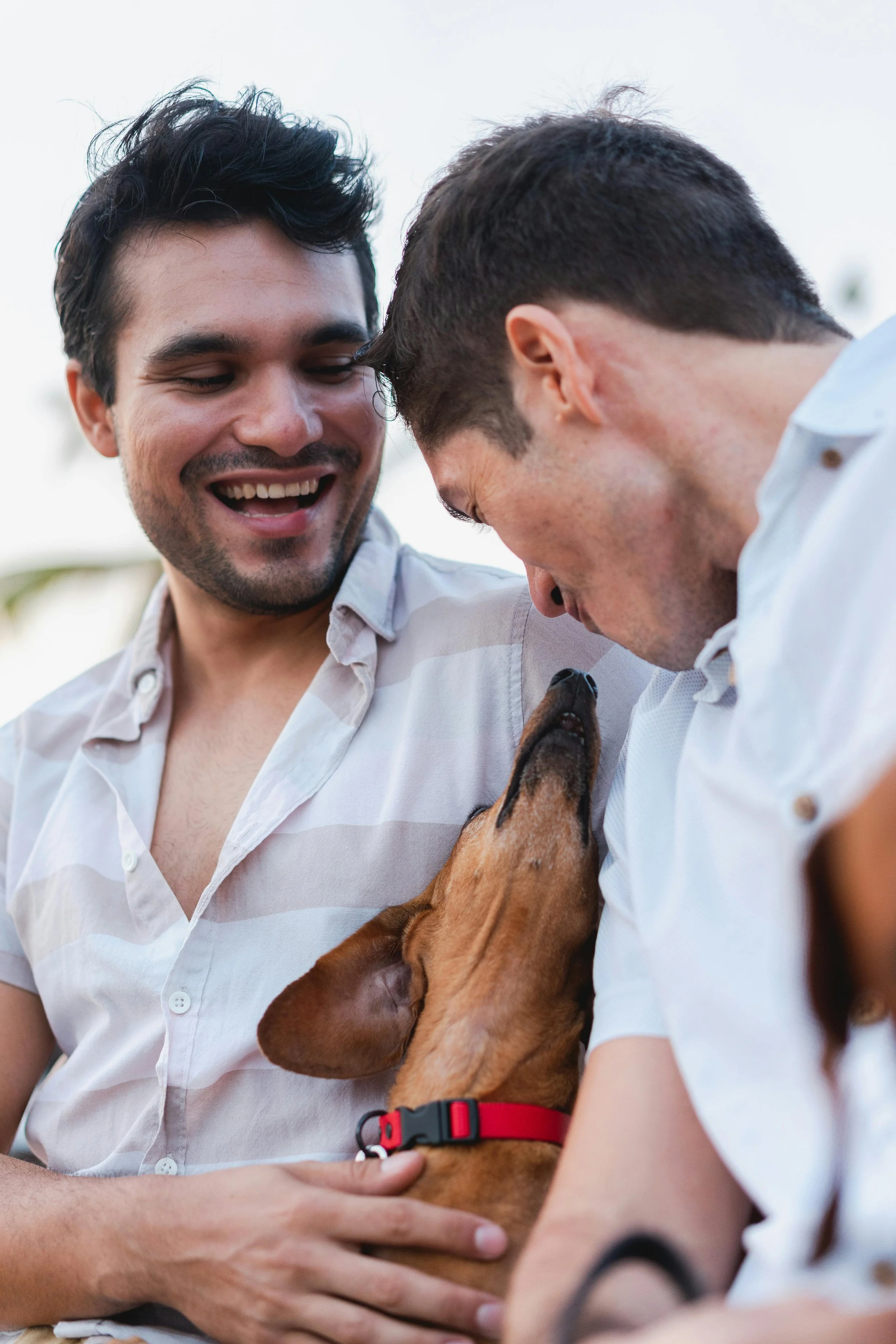 Two adults smile while greeting a small brown dog outdoors.